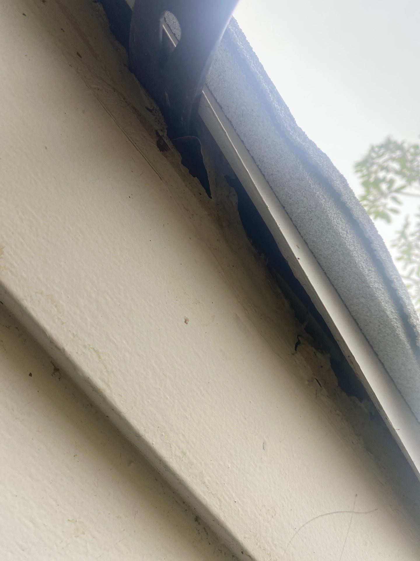 7-Inch Seamless Gutters Upgrade in Osprey FL by Gutter Professors