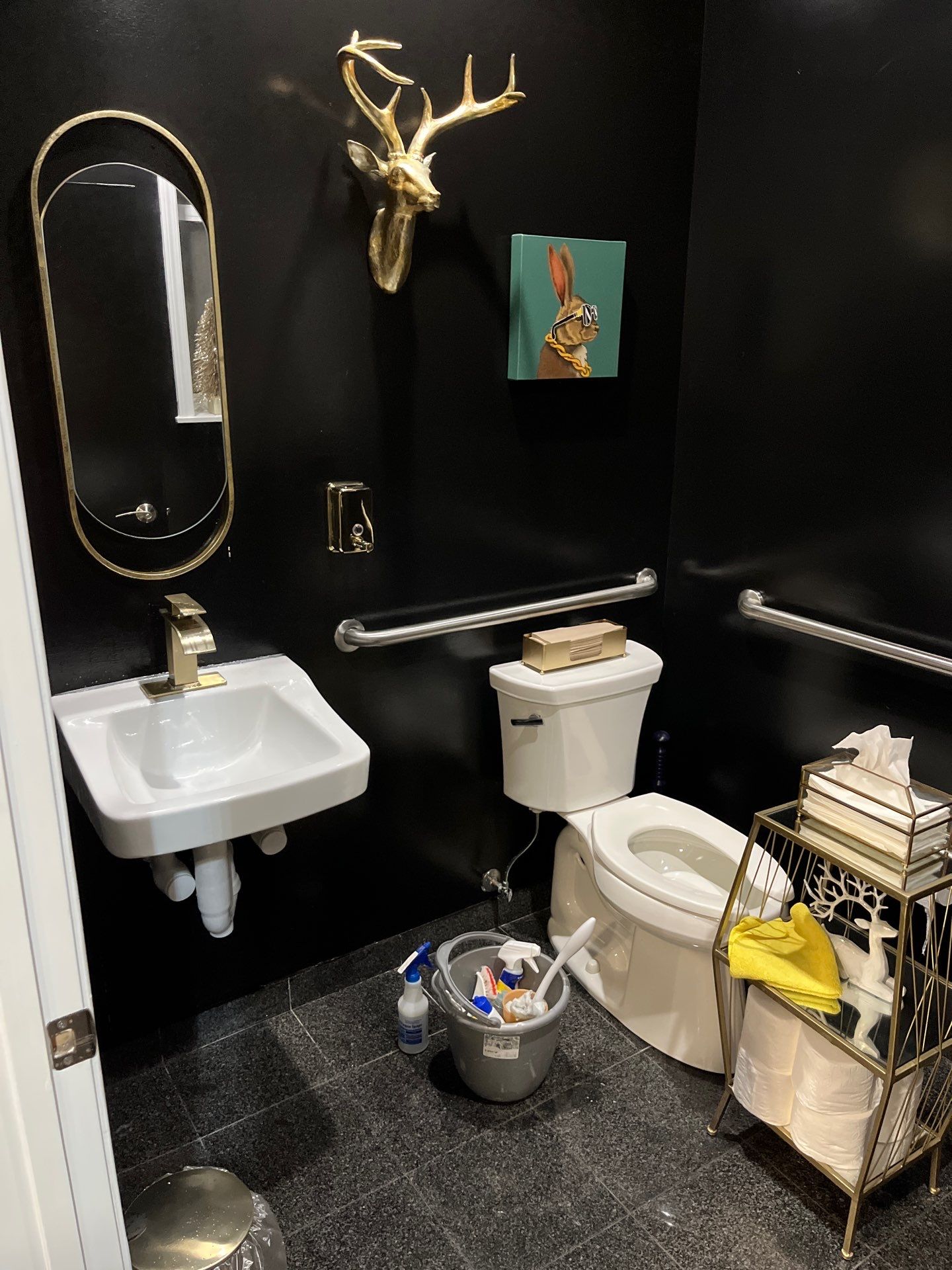 Project in Oak Park by Xo Clean Services 