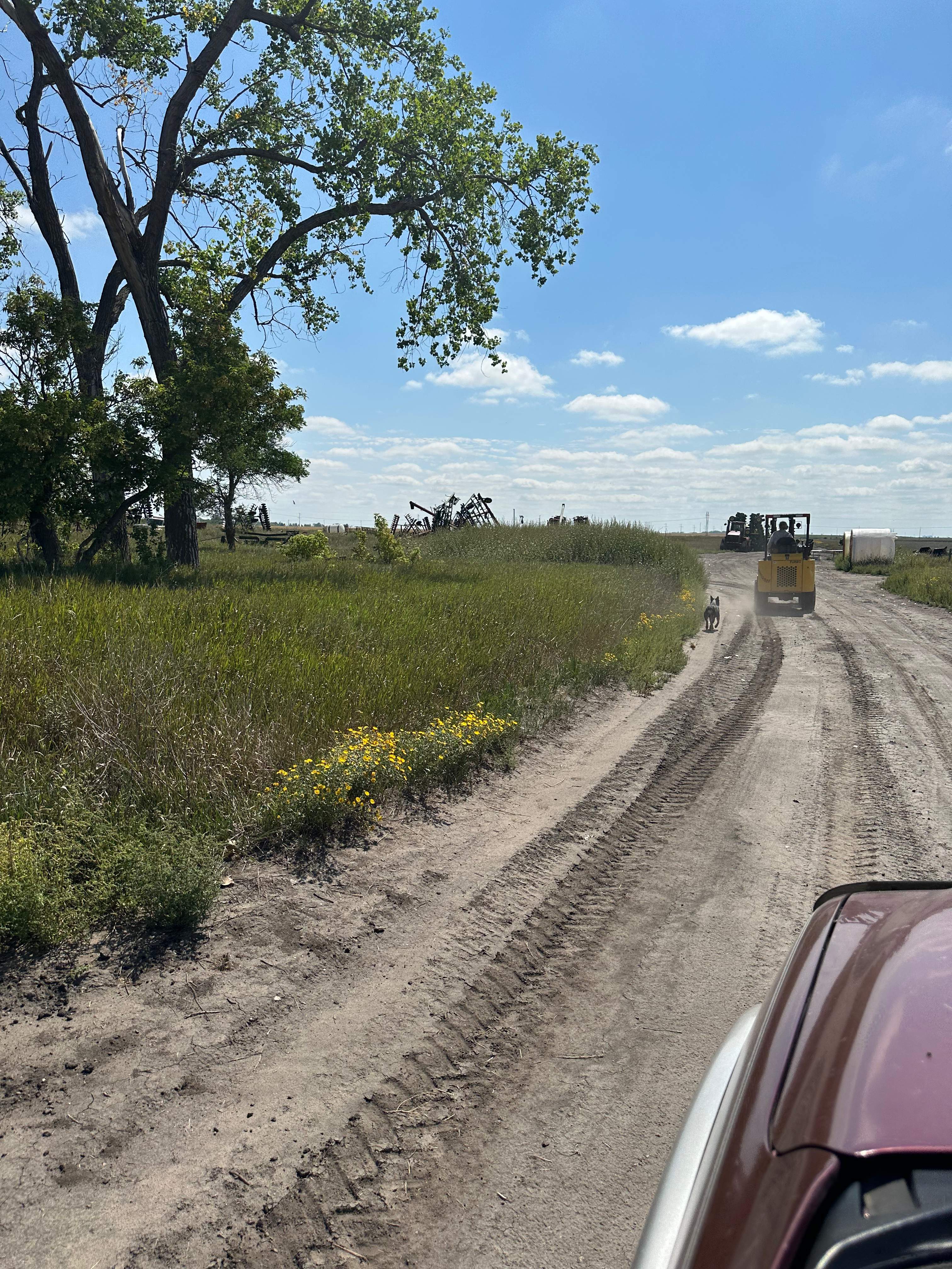 BeeGirl's Honey House in the Midwest by Rockwall Honey Bee Company
