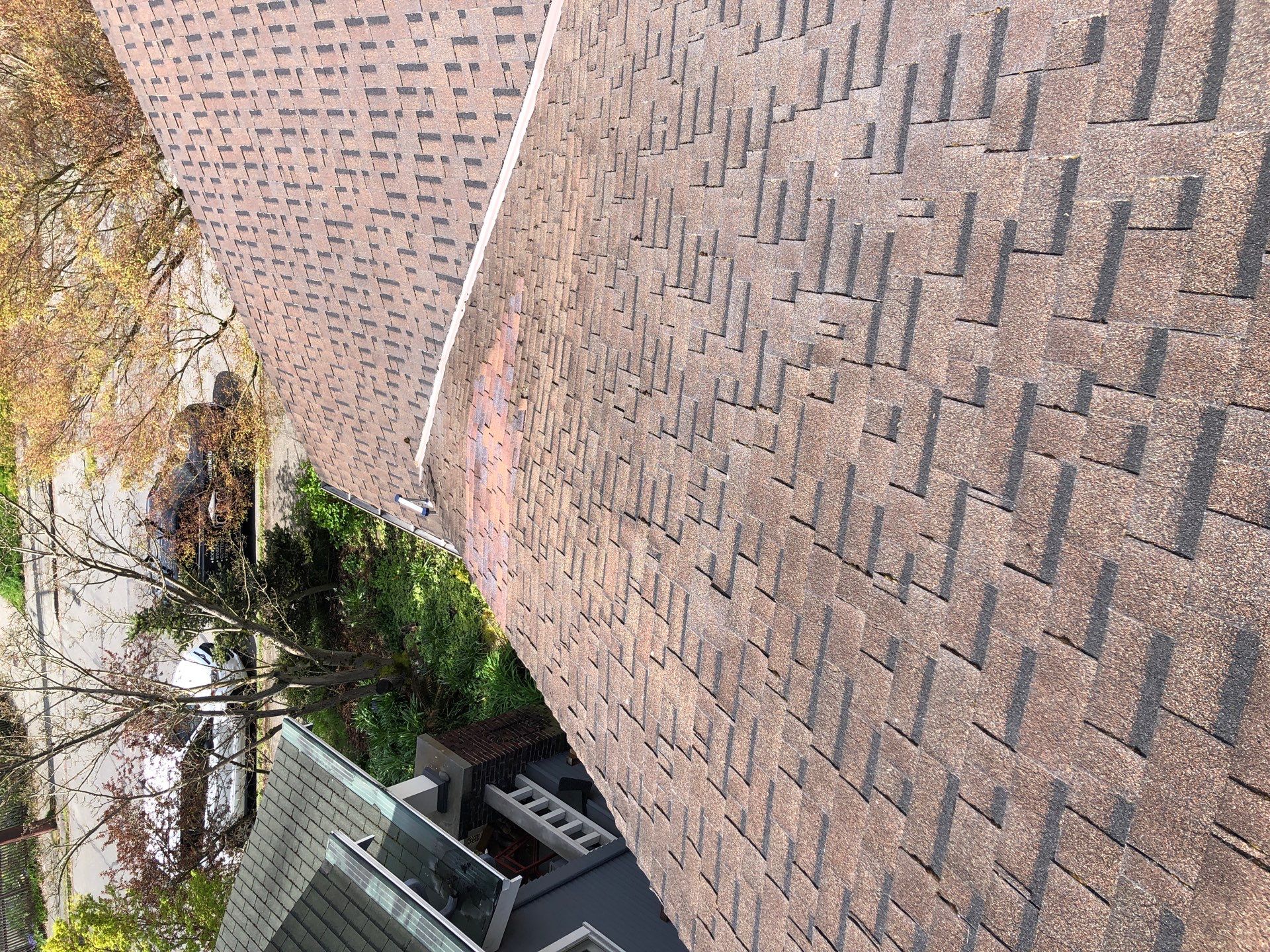 Project in Seattle by Peaks and Valleys Construction