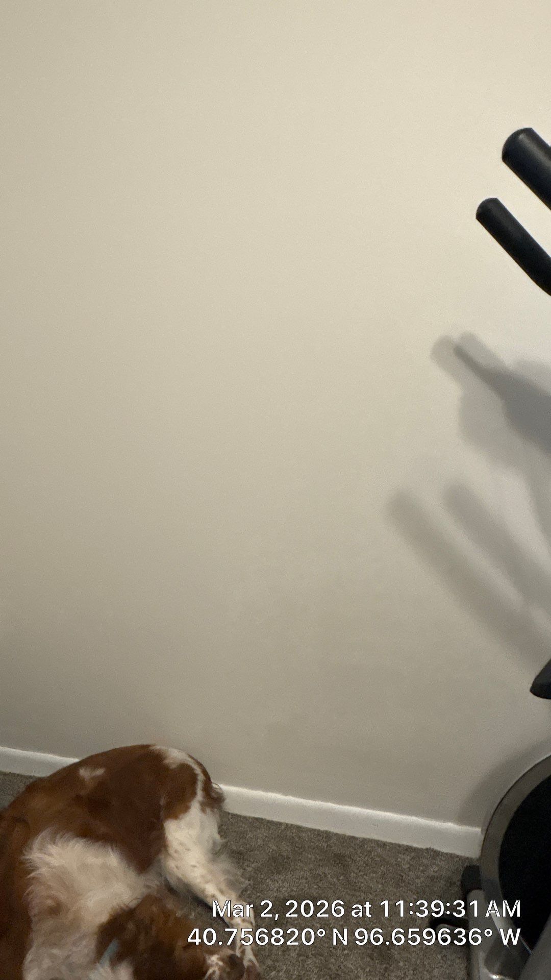 Interior Room Refurbishment in Lincoln, NE by CompanyCam | Account Management Demo Account