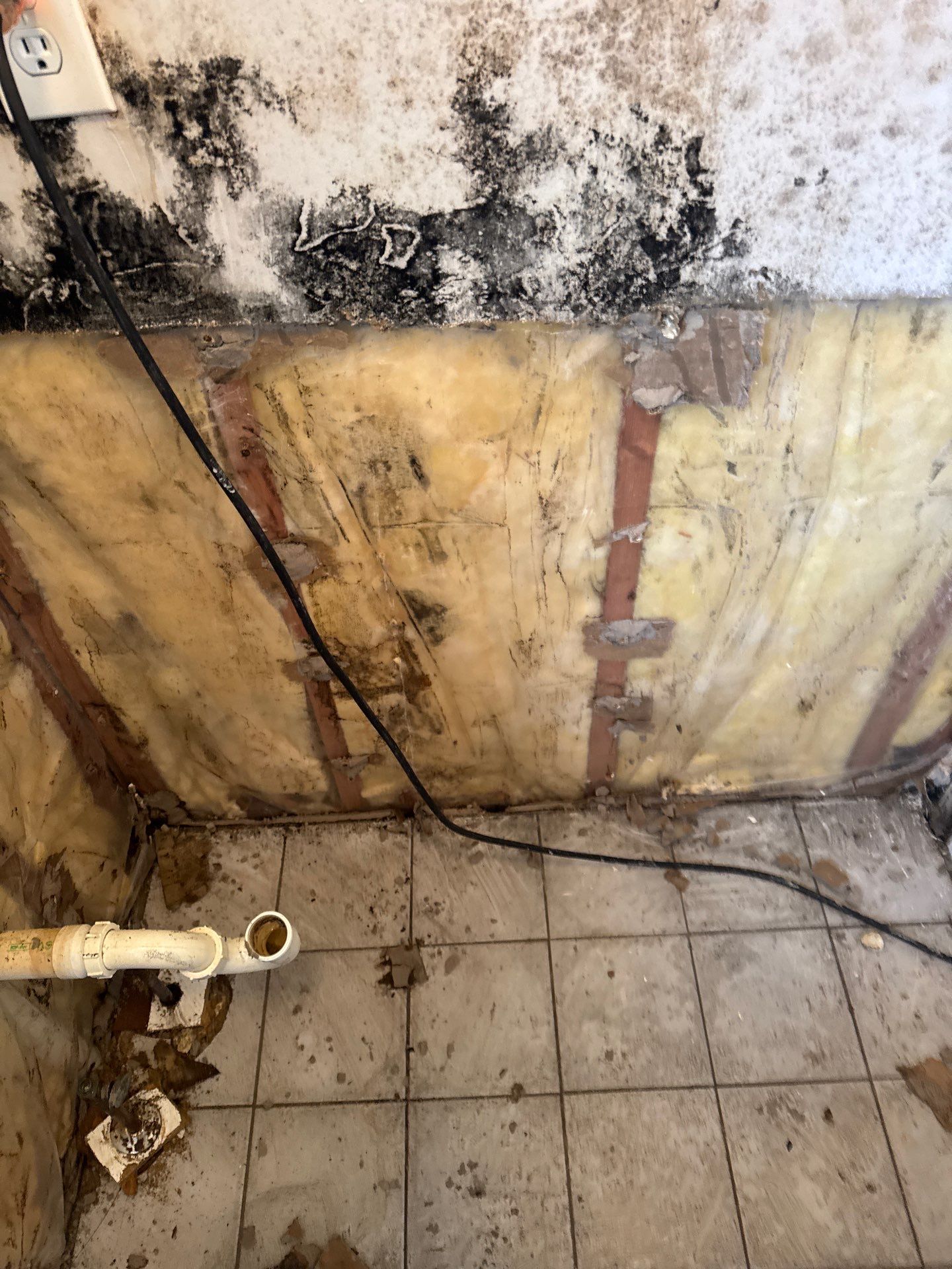 Mold Remediation and Water Damage Repair in Stonybrook, NY by Newhouse Restoration