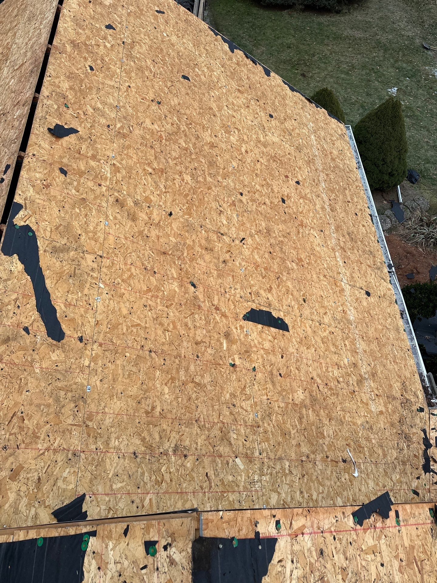 Alpha Rib, Color: Forest Green by Eagle Eye Roofing