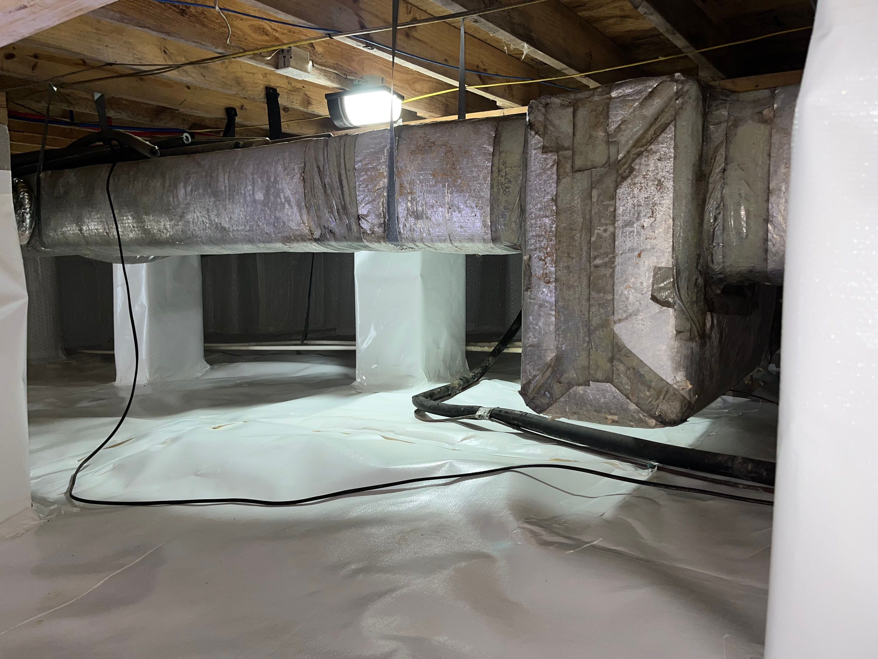 Impact Choice Encapsulation with French Drain, Mold Removal, and Crawlspace Door by Impact Crawlspace