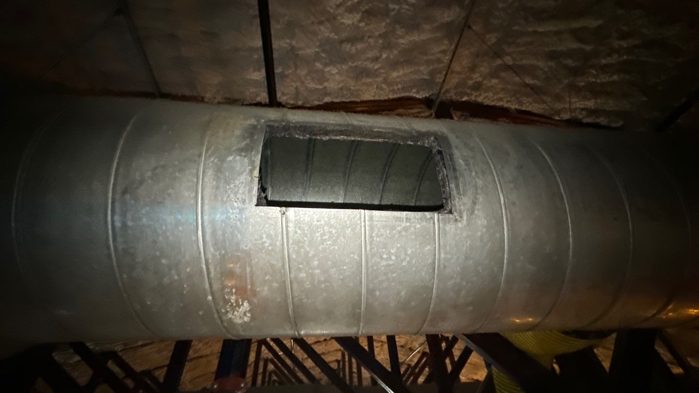 Commercial Air Duct and Pizza Oven Cleaning in Clermont by Hygienic Air, Inc