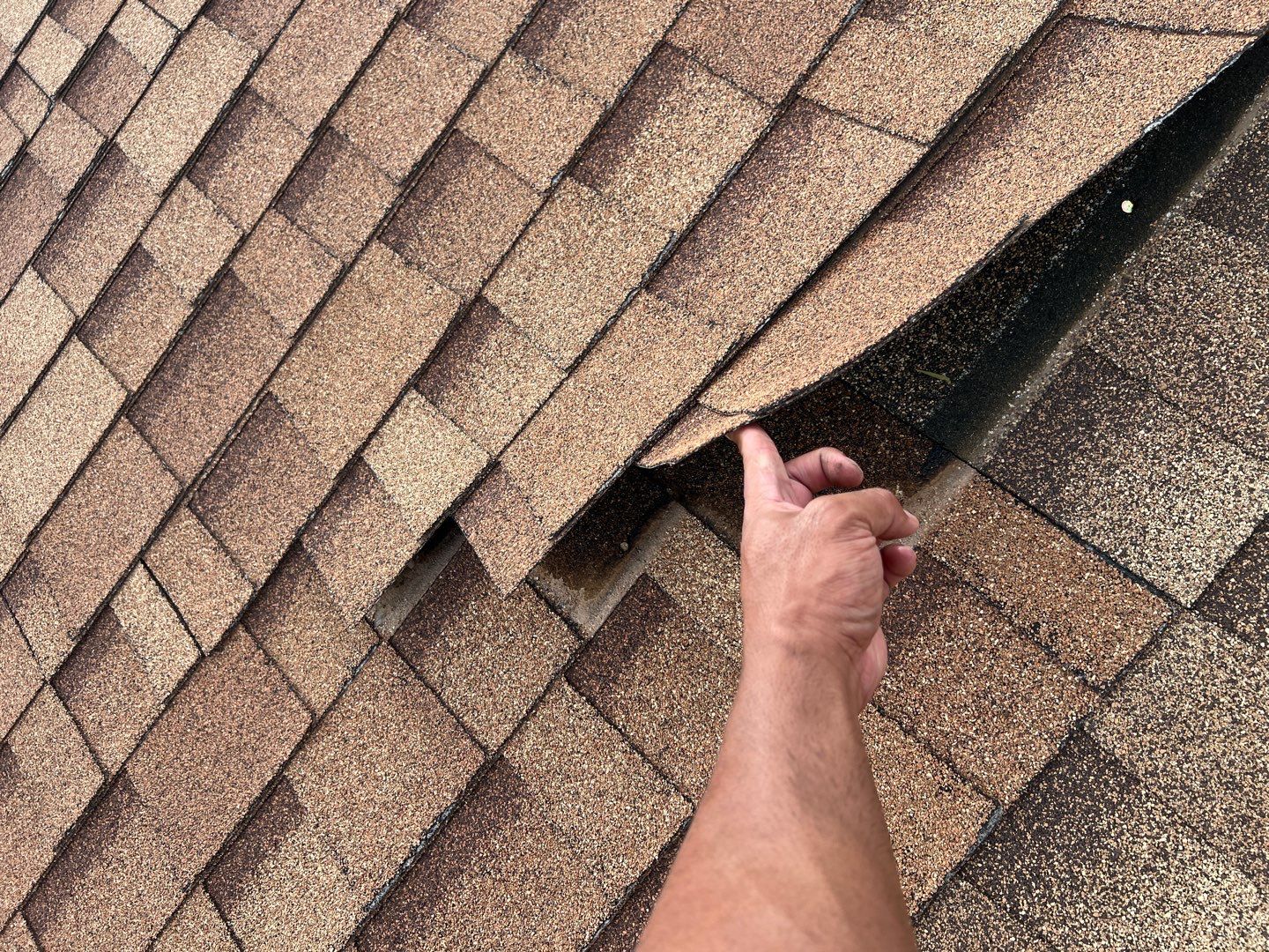 Jenna's Re-Roof and Ridge Vents by All Storm Roofing & Construction