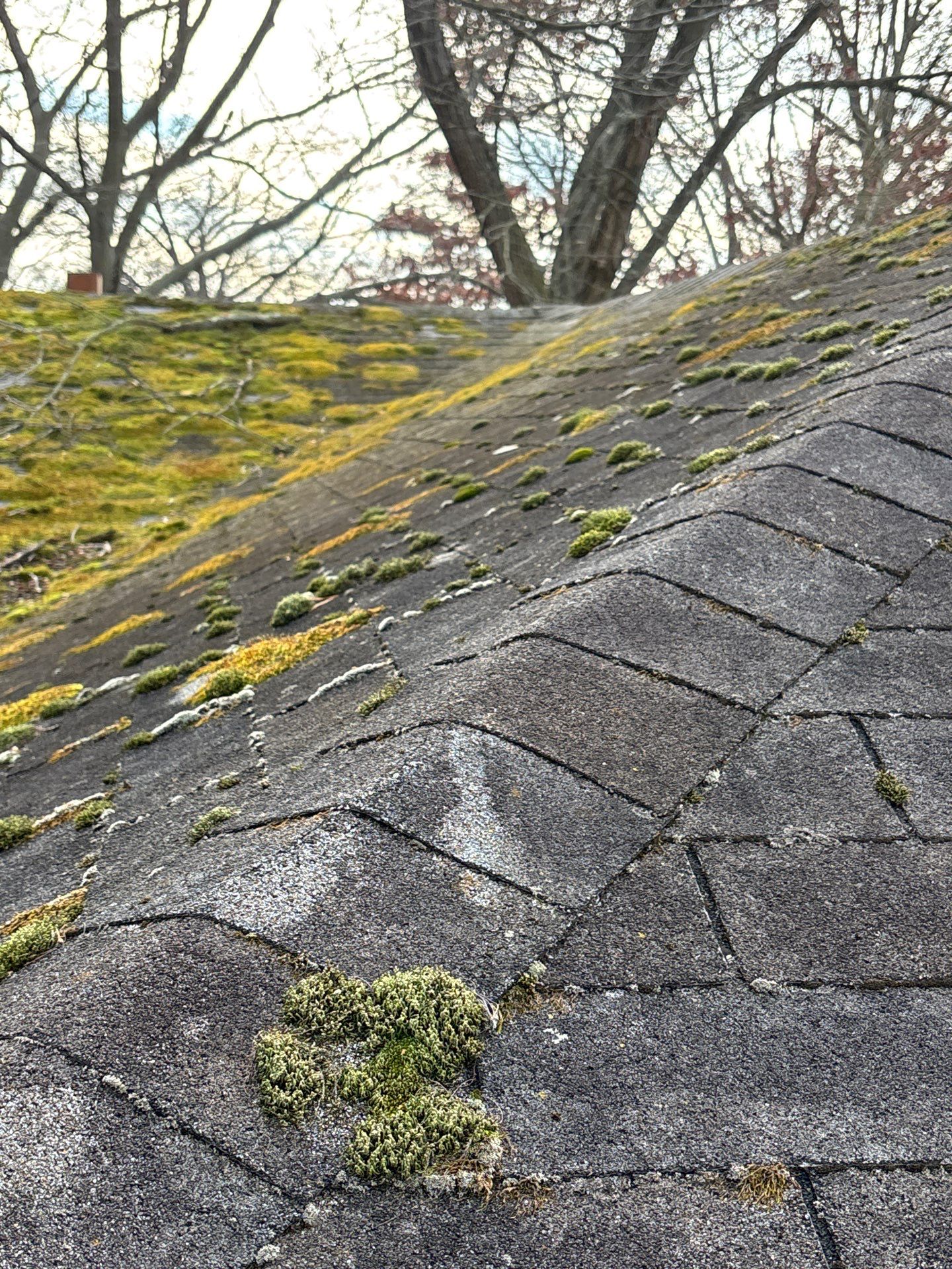 Residential Roof Replacement in Deptford, NJ 08096 by Mighty Dog Roofing of South Jersey