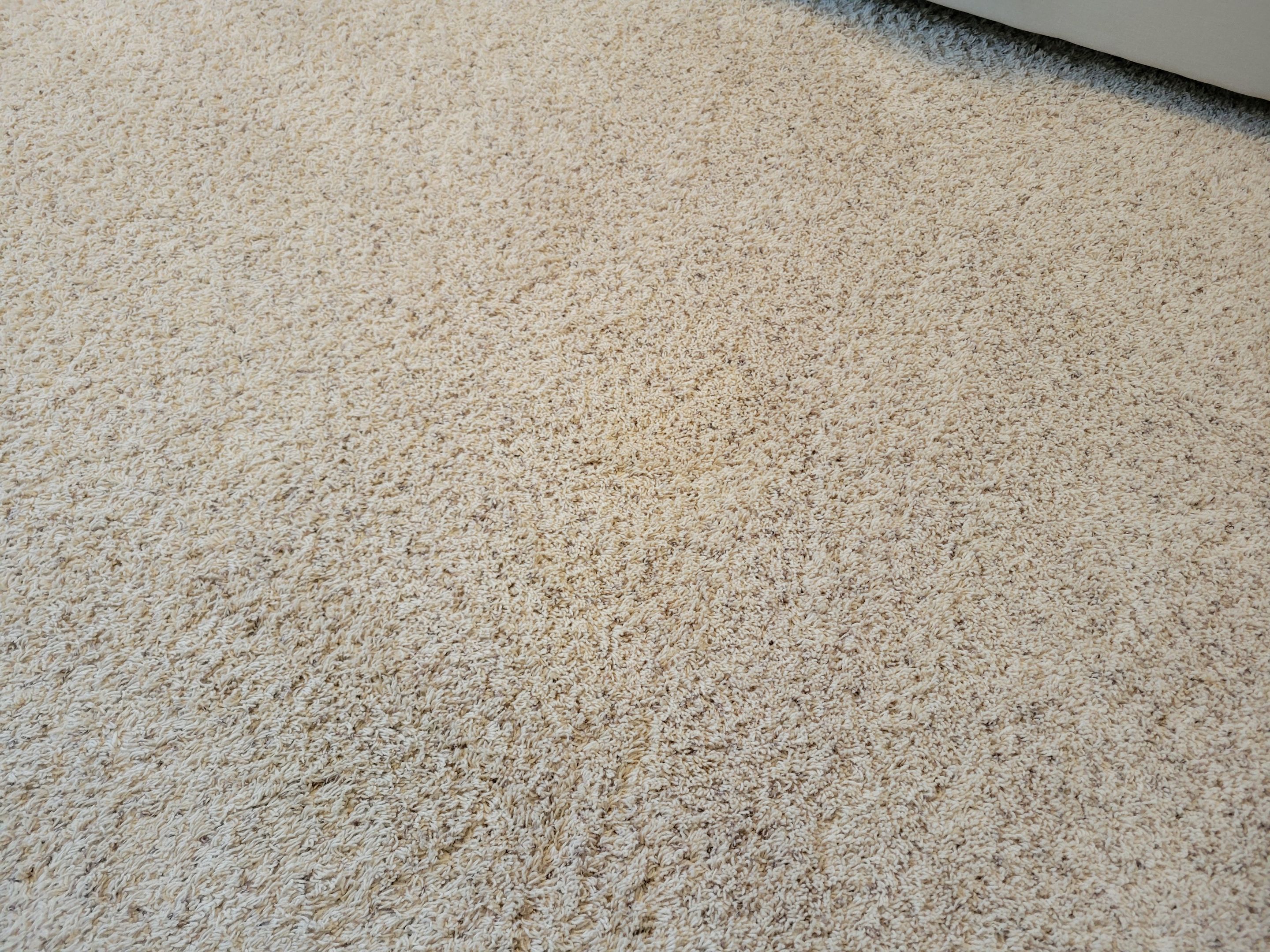 Carpet Re-stretching and Stain Removal by Ardent Carpet Restore LLC