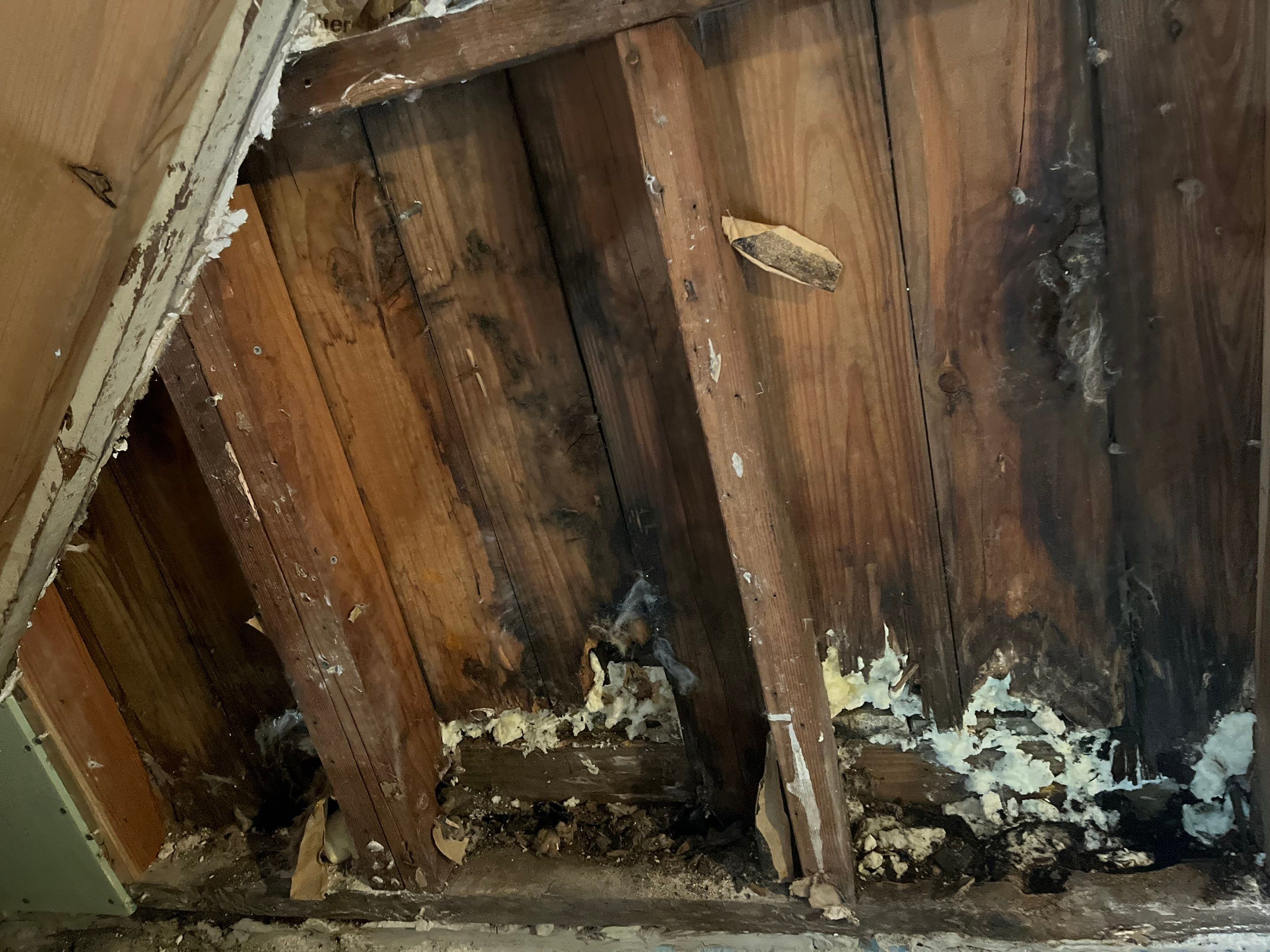 Water Damage by G2