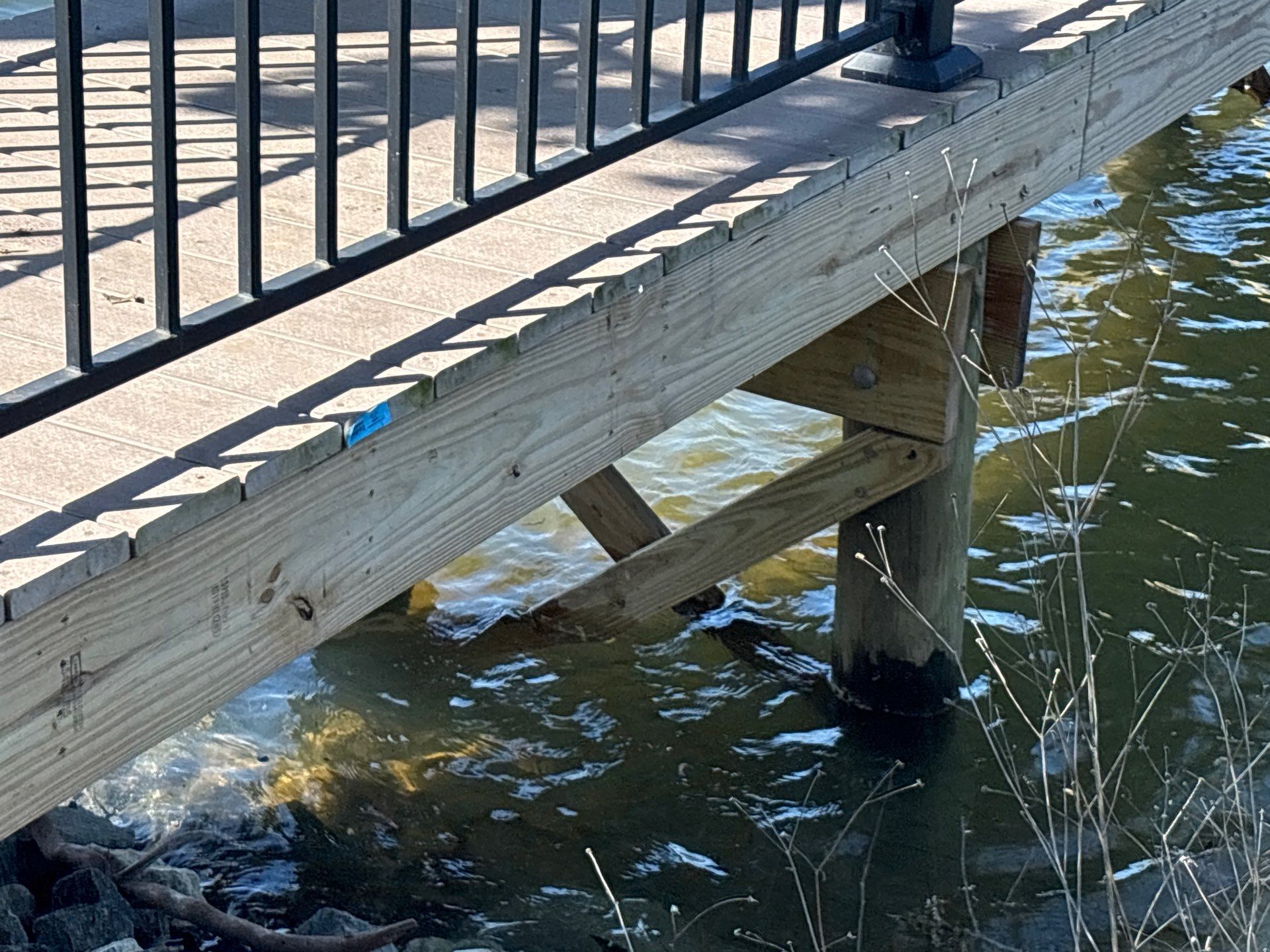 Dock using Wood Sealant by DuraSeal