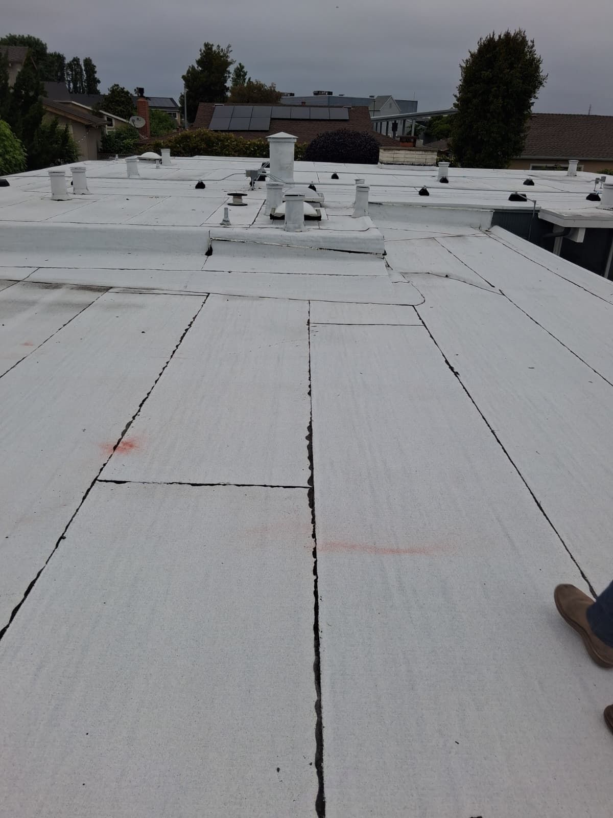 Roof Replacement- Foster City, CA 94404 by Epic Roof Replacement