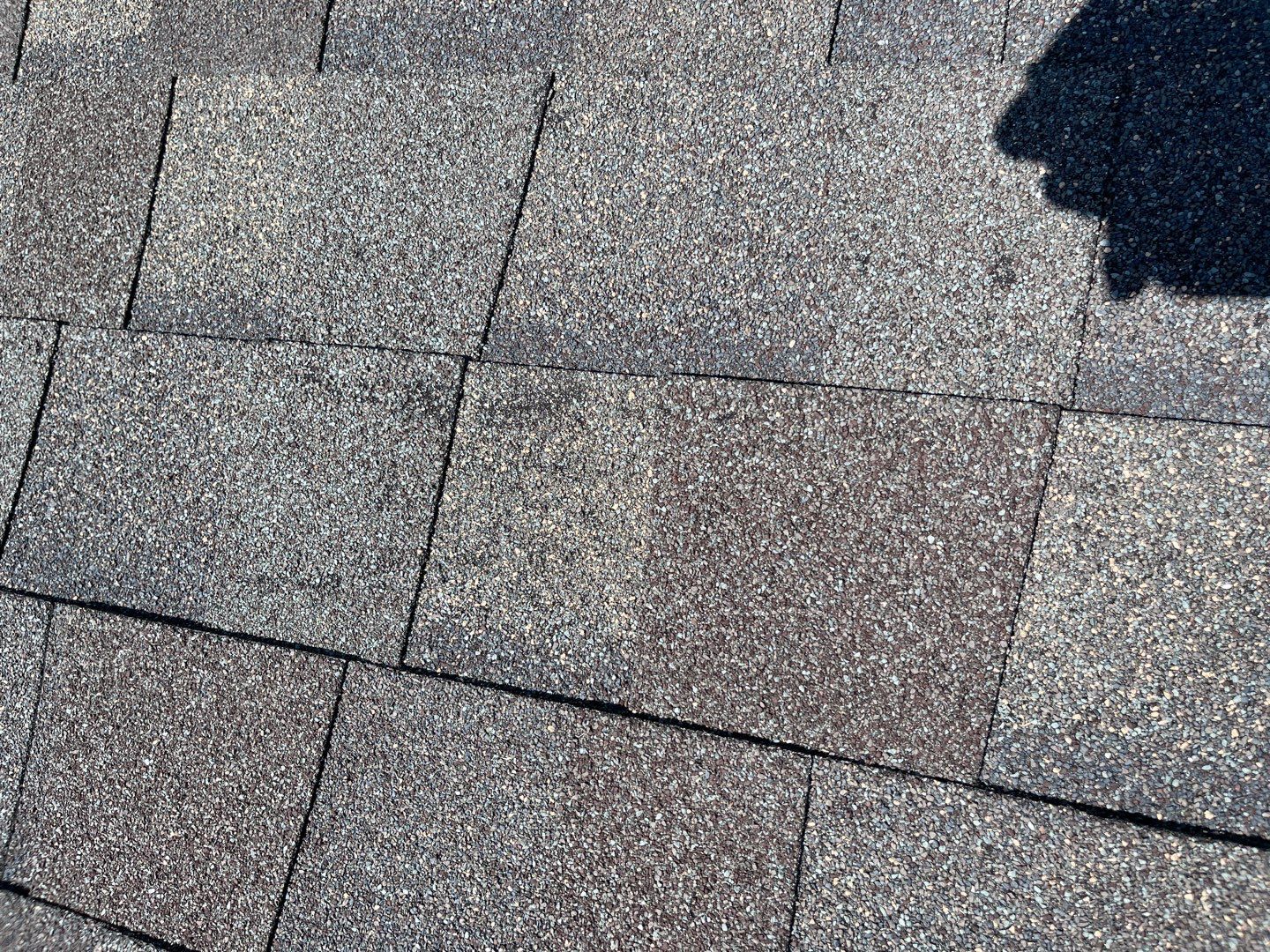 Faulty construction by Constructive Project Management