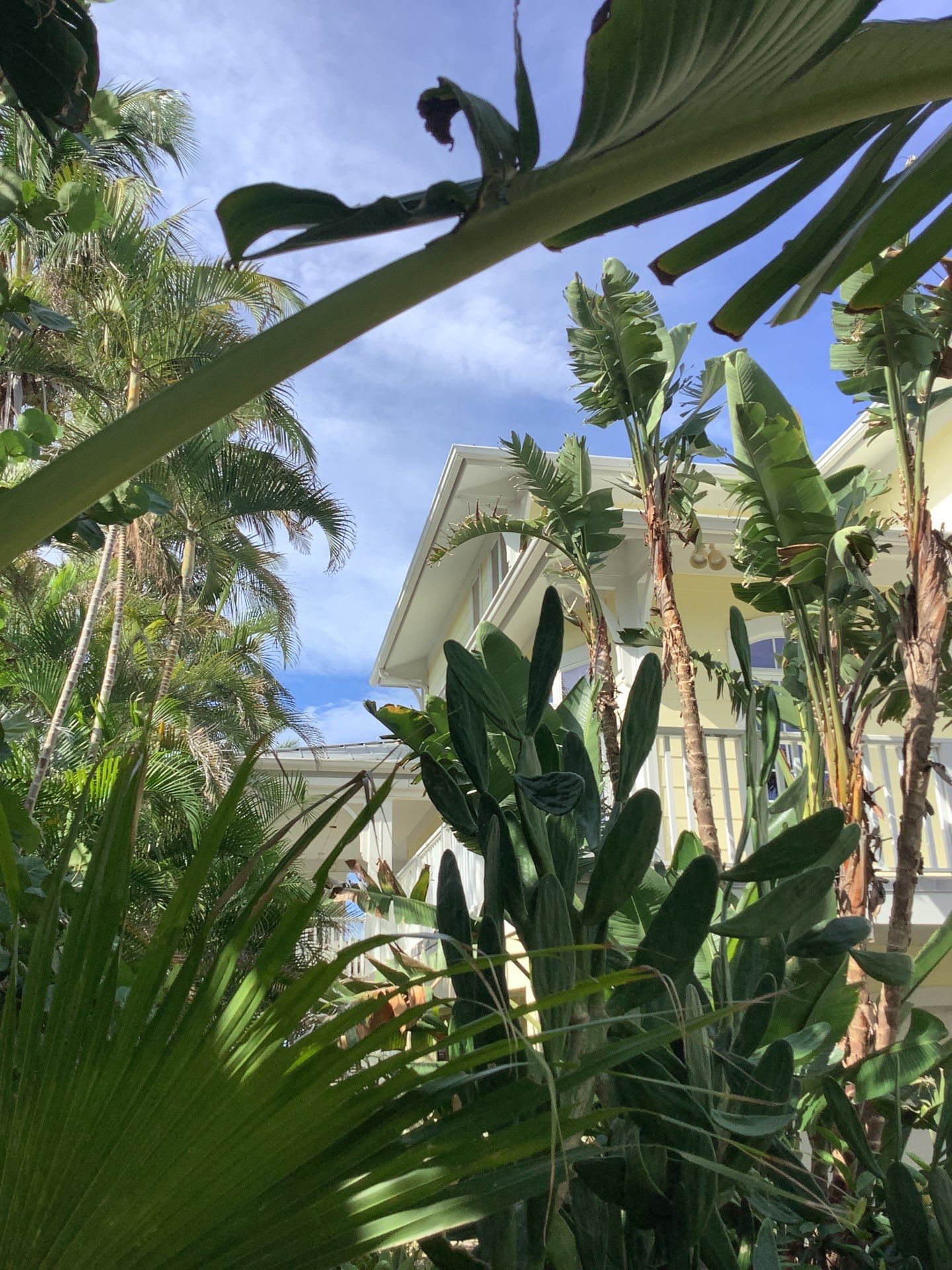 Gutters and Downspouts in Longboat Key FL  by Gutter Professors