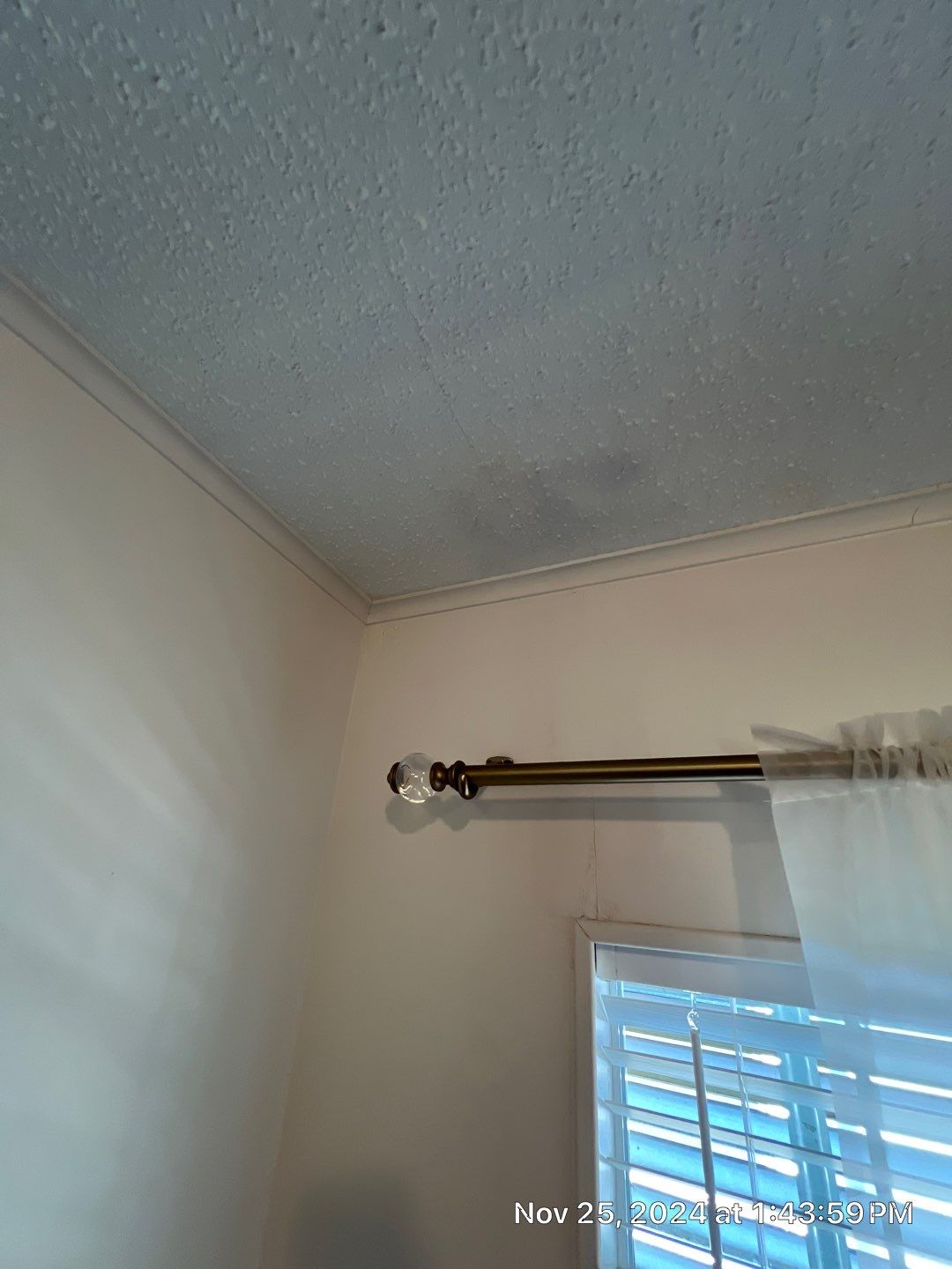 Mold Remediation Palmetto by Ampm Restoration Services 