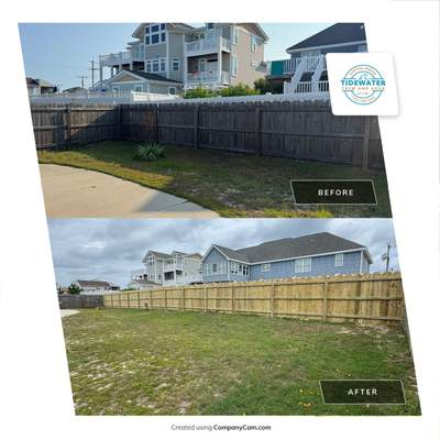 Timeless Beauty in Every Panel