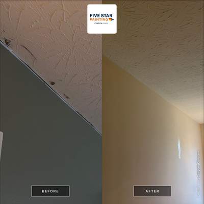 Five Star Painting - Ceiling