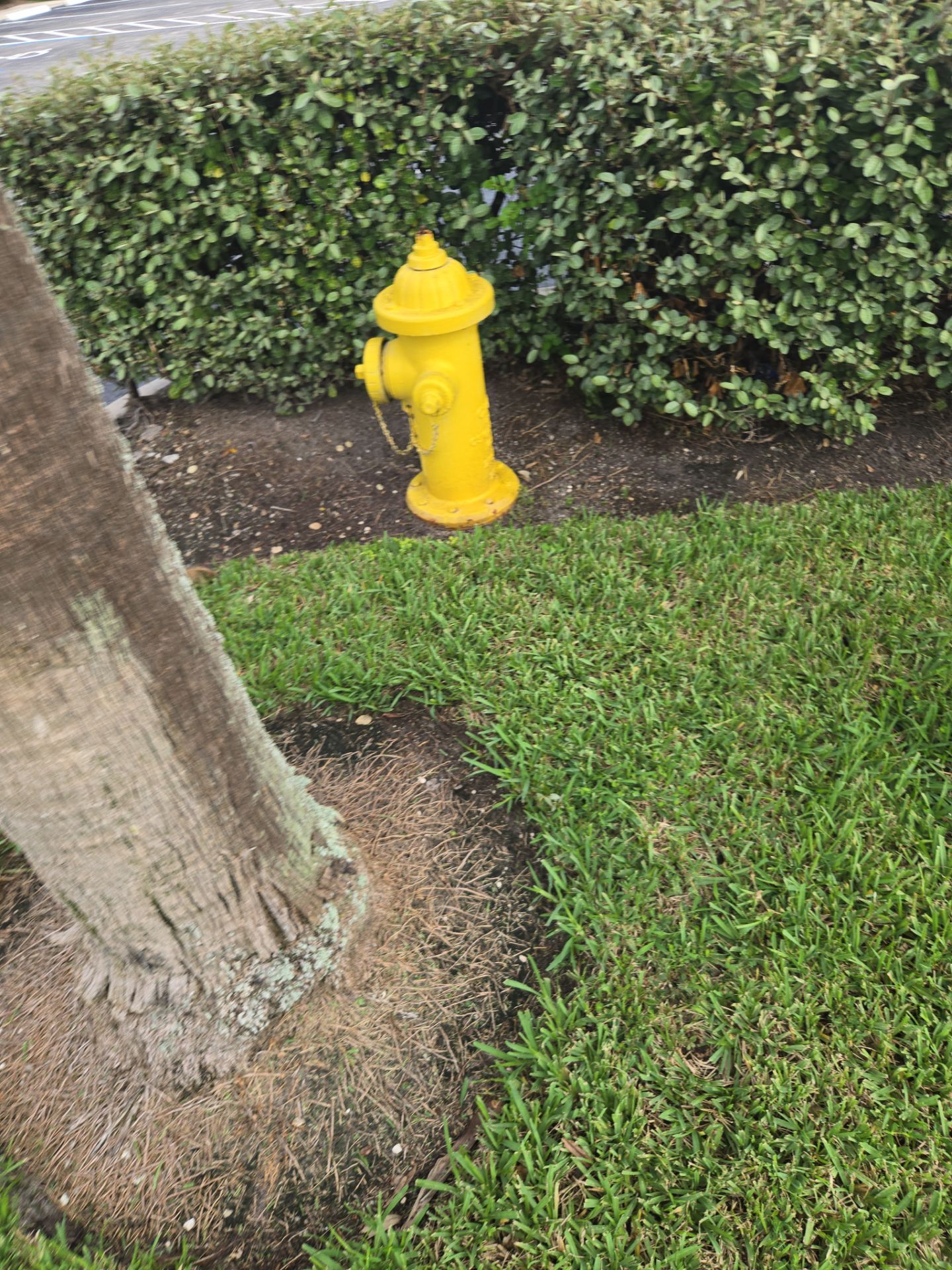 🛏️ City Mattress Refresh — Jensen Beach by Alpha Zeta Enterprises Inc