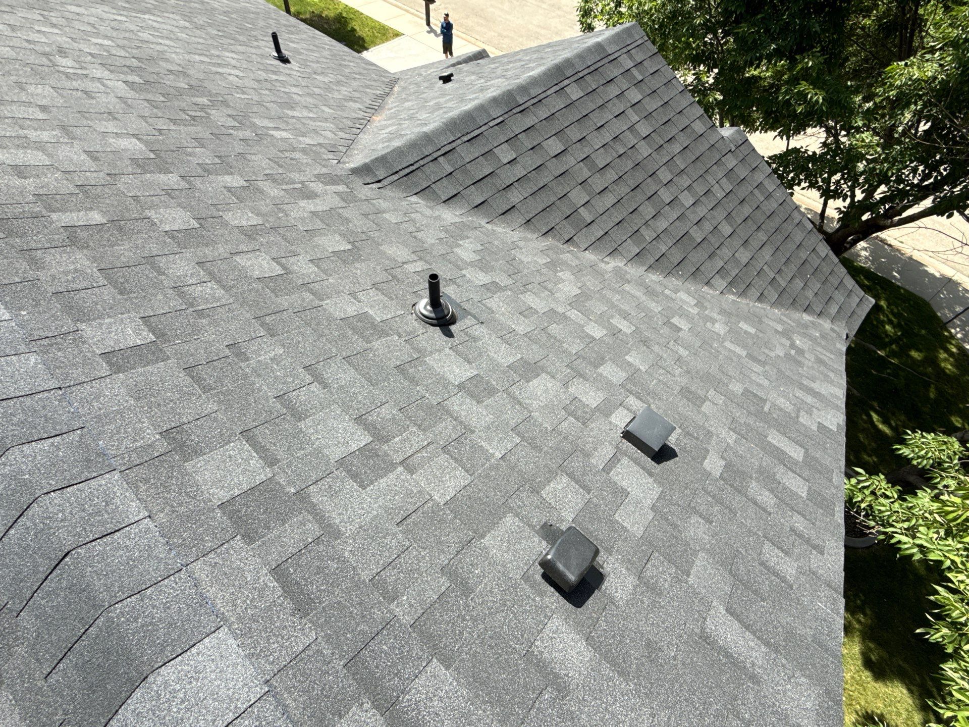 Residential Roof Replacement and Sheathing Repair in Boise by Olive Roofing