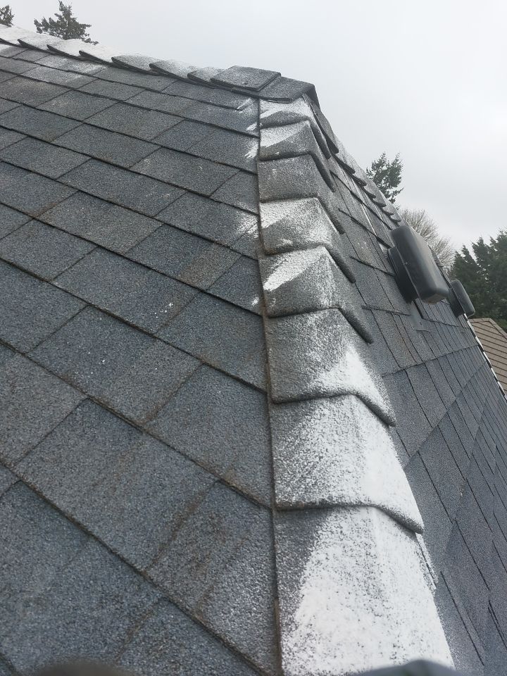 Roof Cleaning  using Moss Treatment  by BEST Roofing & Waterproofing
