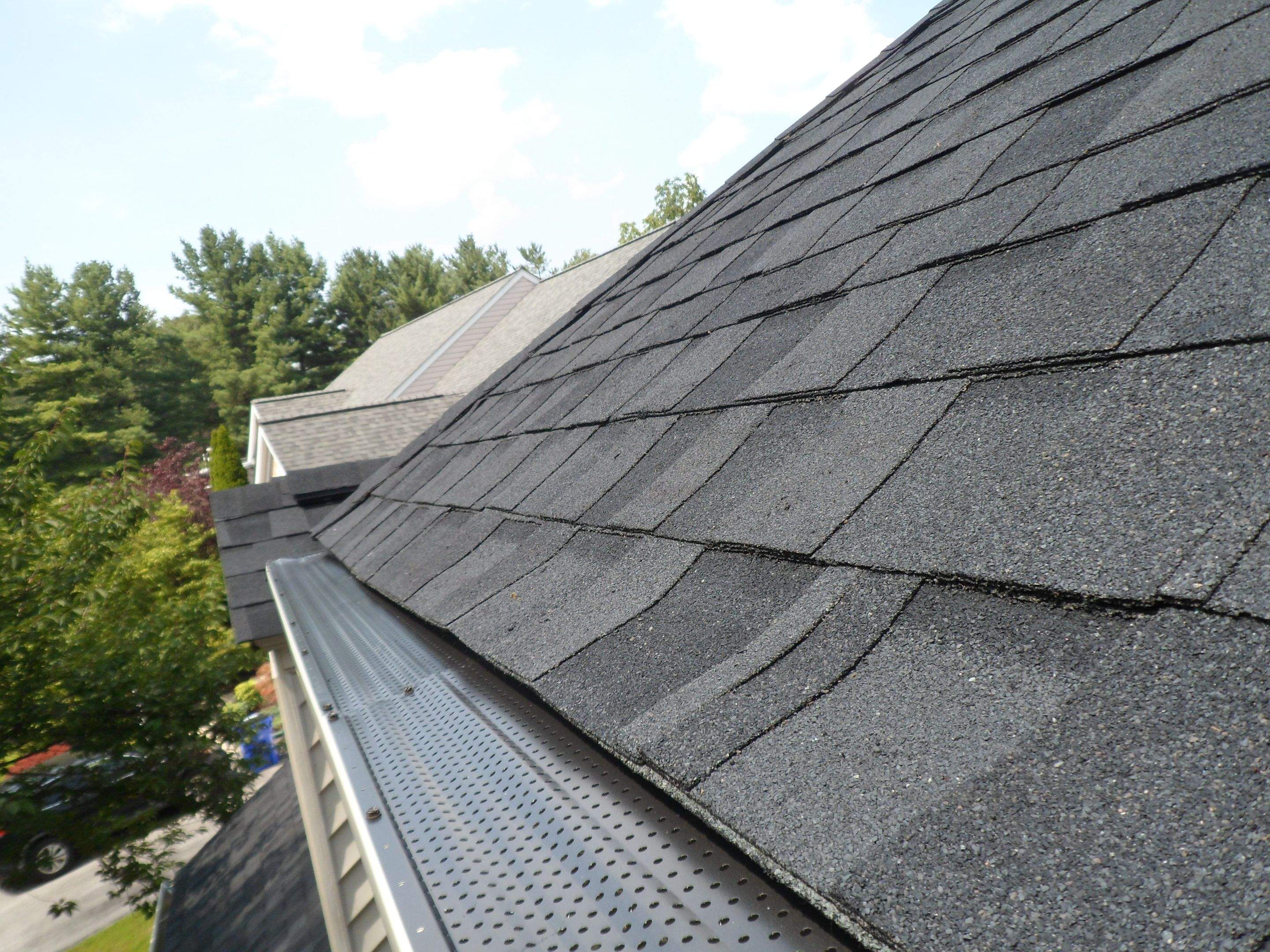 New Shingle Roof & New Gutters and downspouts with covers by Alpha Design Services