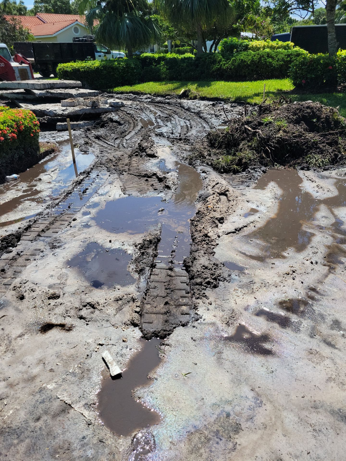 🌴 “Harbour Ridge Haven – A Tropical Revival by Alpha Zeta Landscapes” by Alpha Zeta Enterprises Inc