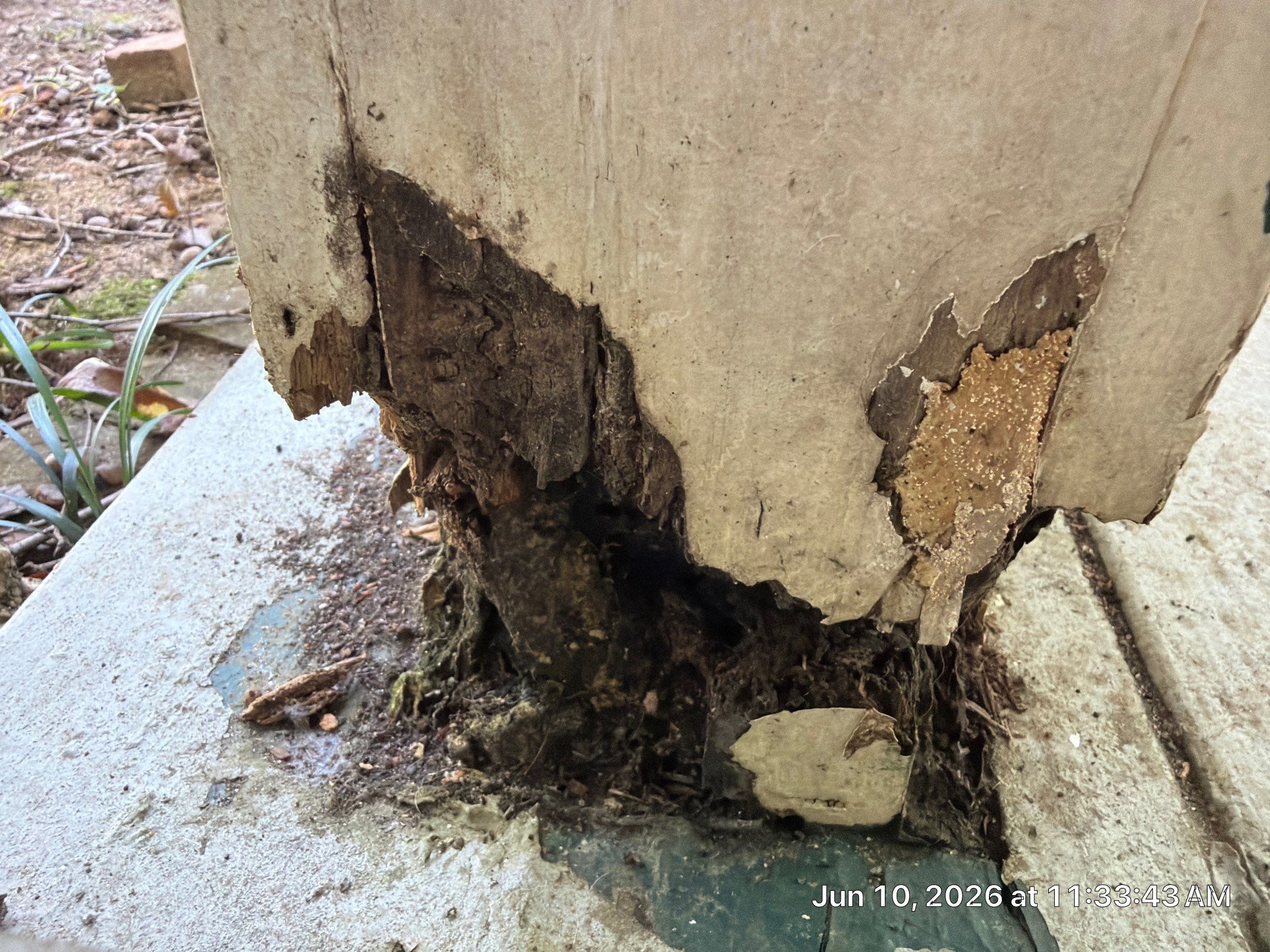 Pool Deck Repair & Misc. Wood Repairs by PGP Surface Solutions, LLC