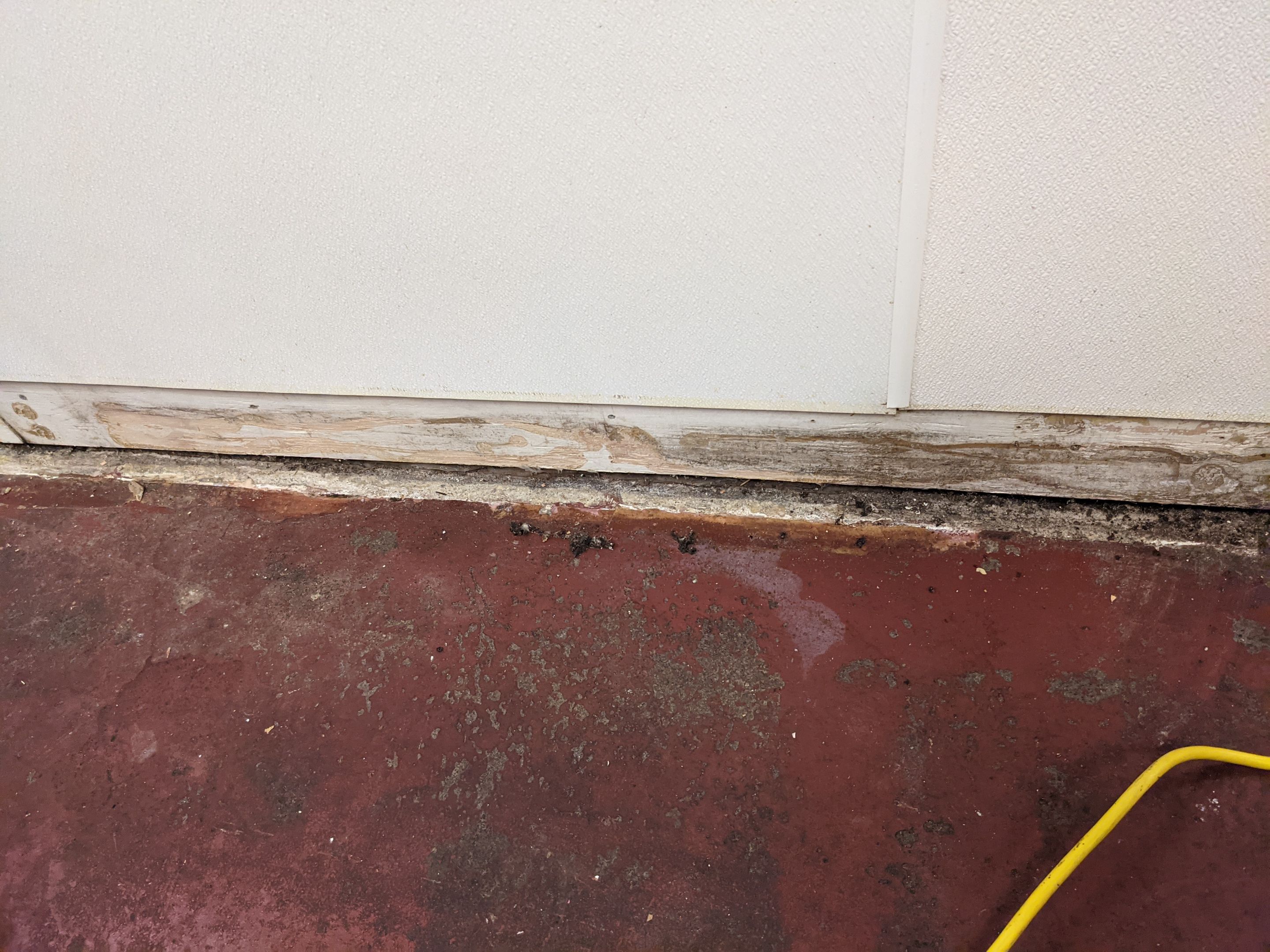 Commercial Floor Transformation using Penntek Evolution System by Croc Coatings, LLC