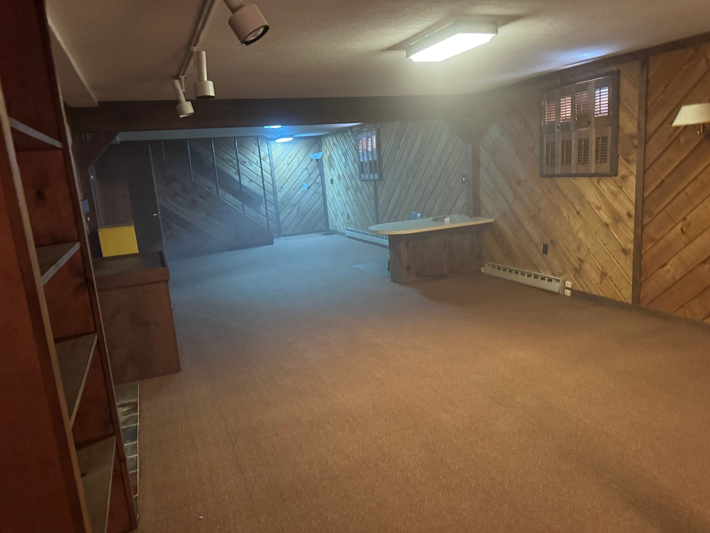 Mold Remediation (Basement) using Home Guarantee by Home Guarantee, LLC