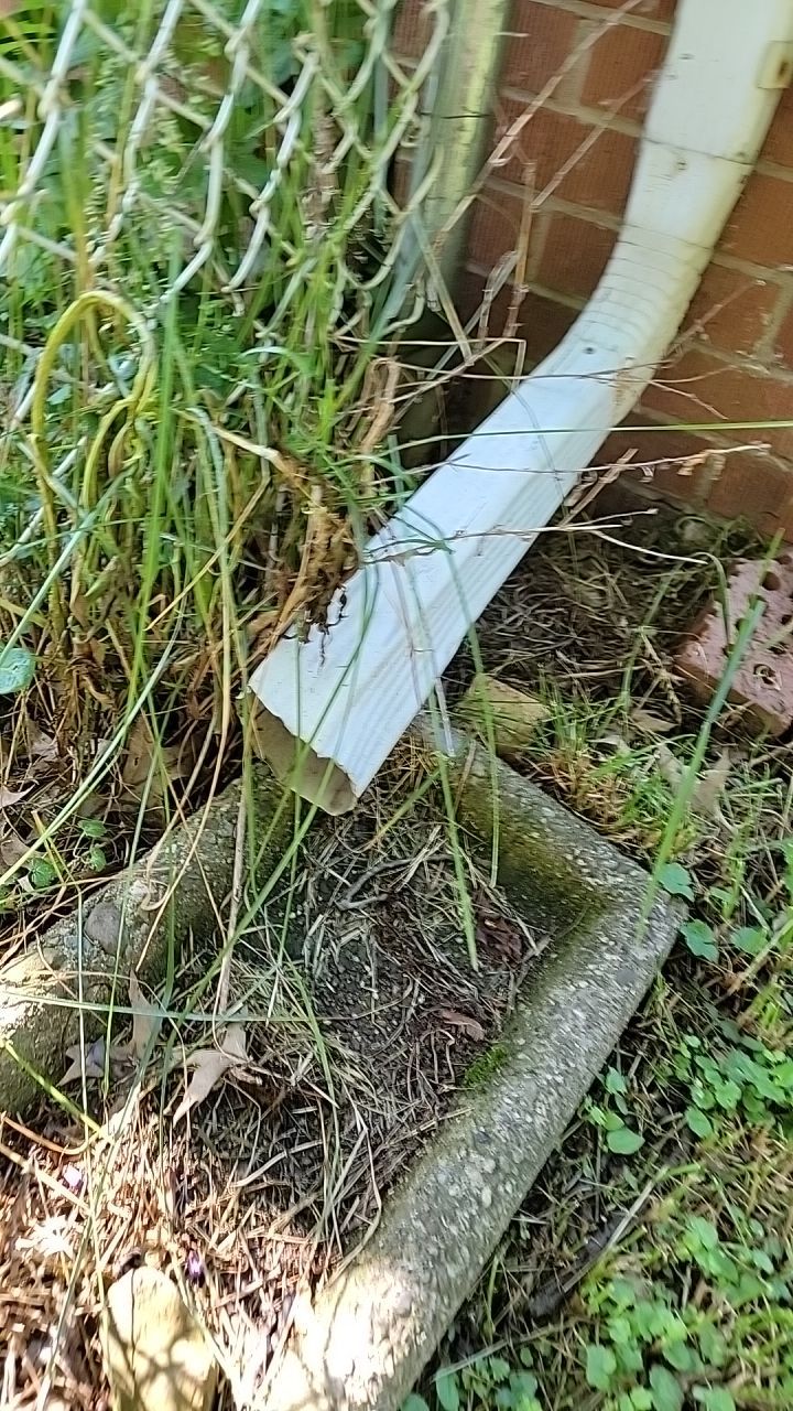 Brand: Atlas Pinnacle Color: Pristine Sunset Drip: White by Eagle Eye Roofing