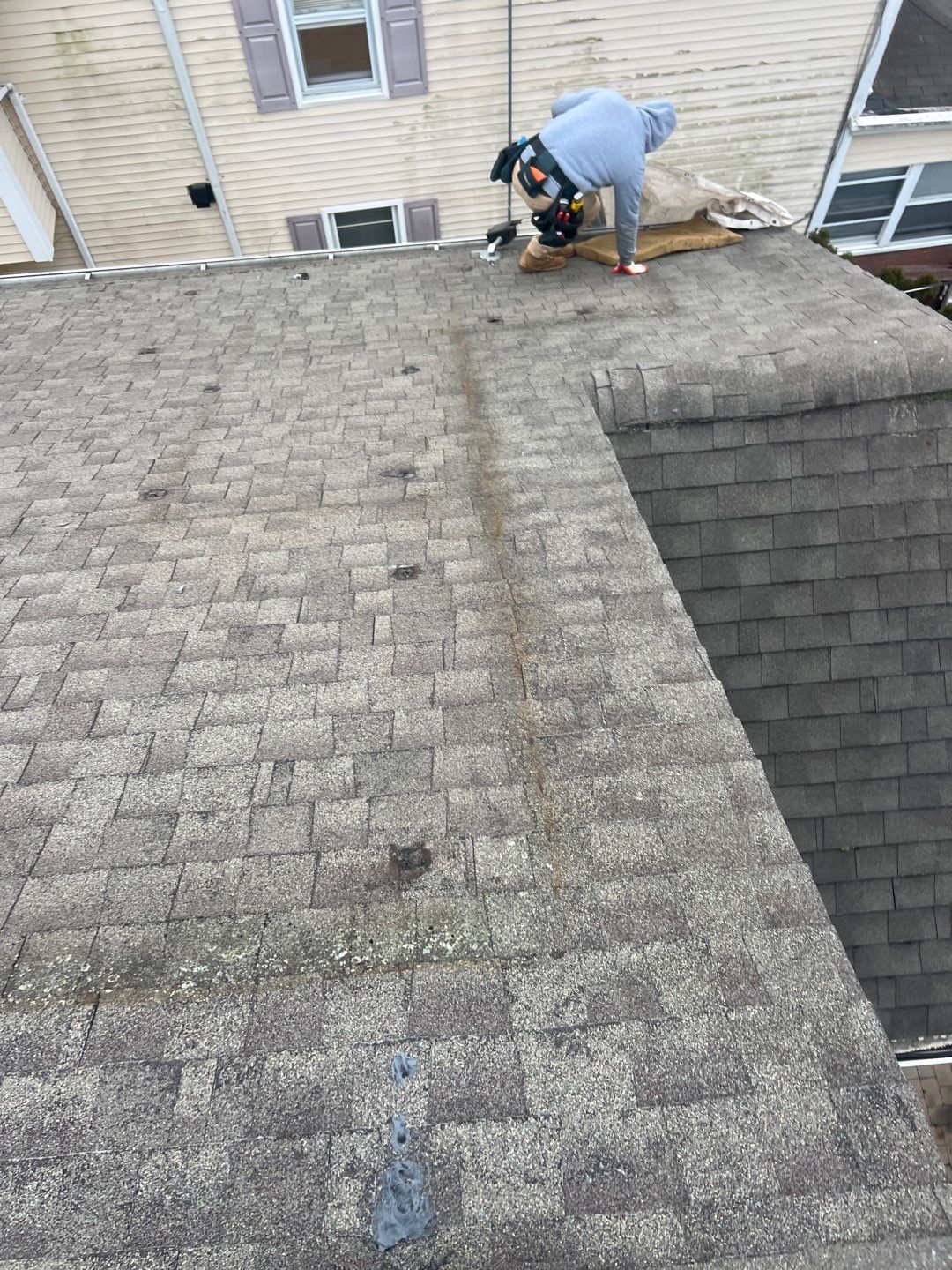 Estate Gray Shingles by Reimagine Roofing