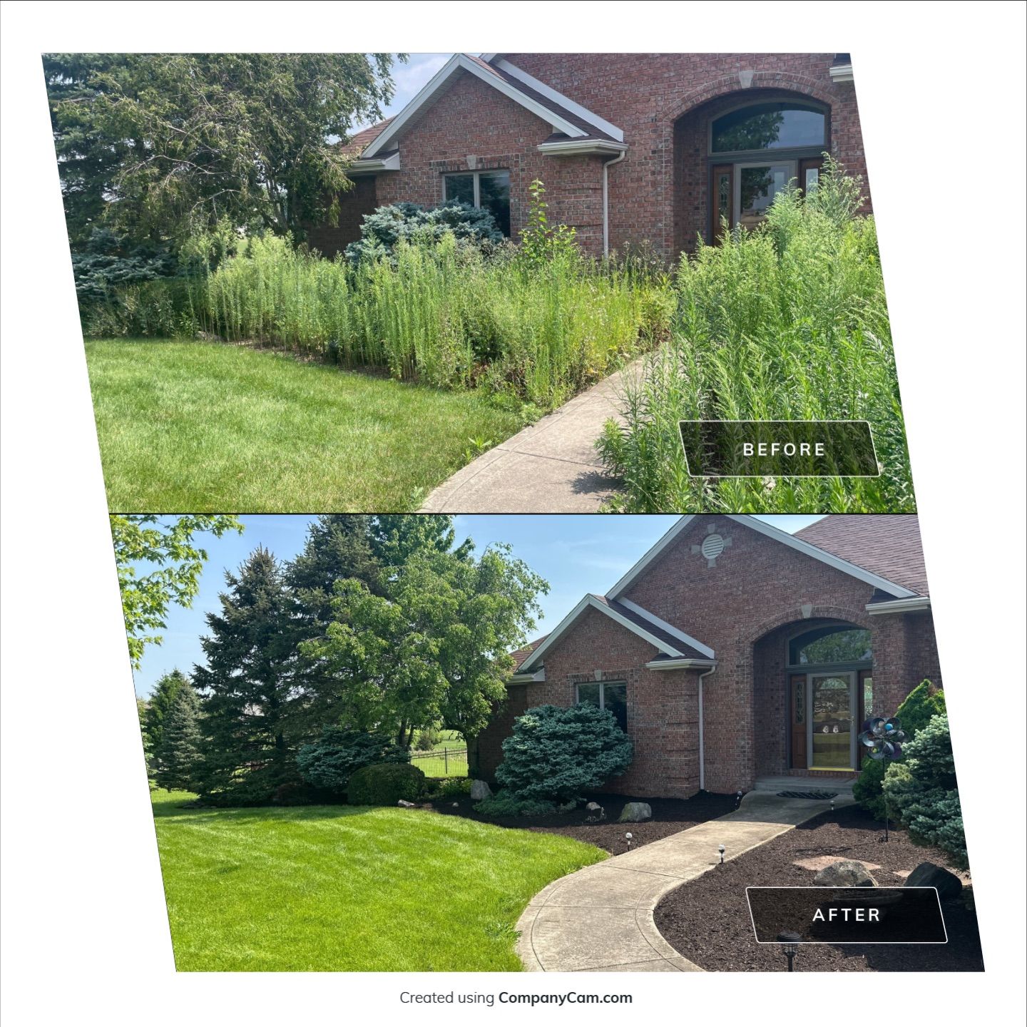 Overgrowth Takeover by Carrs lawn and landscape