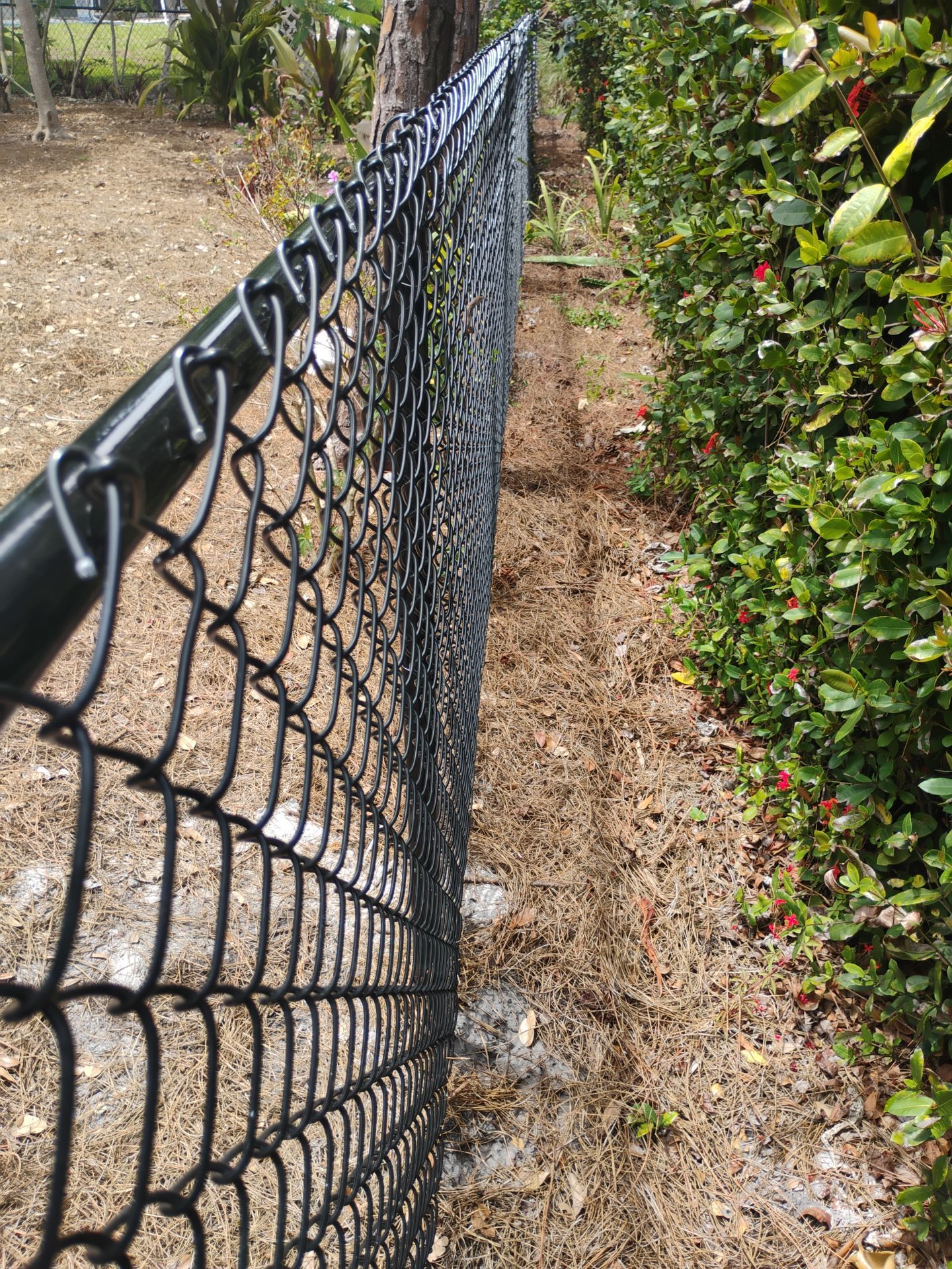 Chain Link Fence in Englewood by True Fence LLC