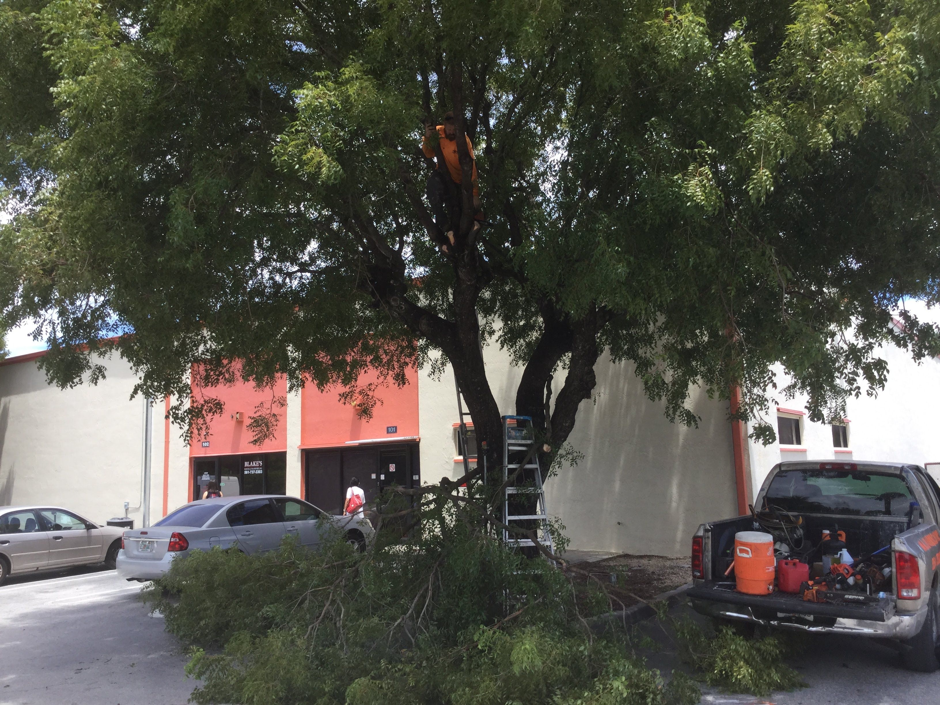Commercial Tree Trimming & Debris Removal by
M.A.B. Landscaping & Property Maintenance