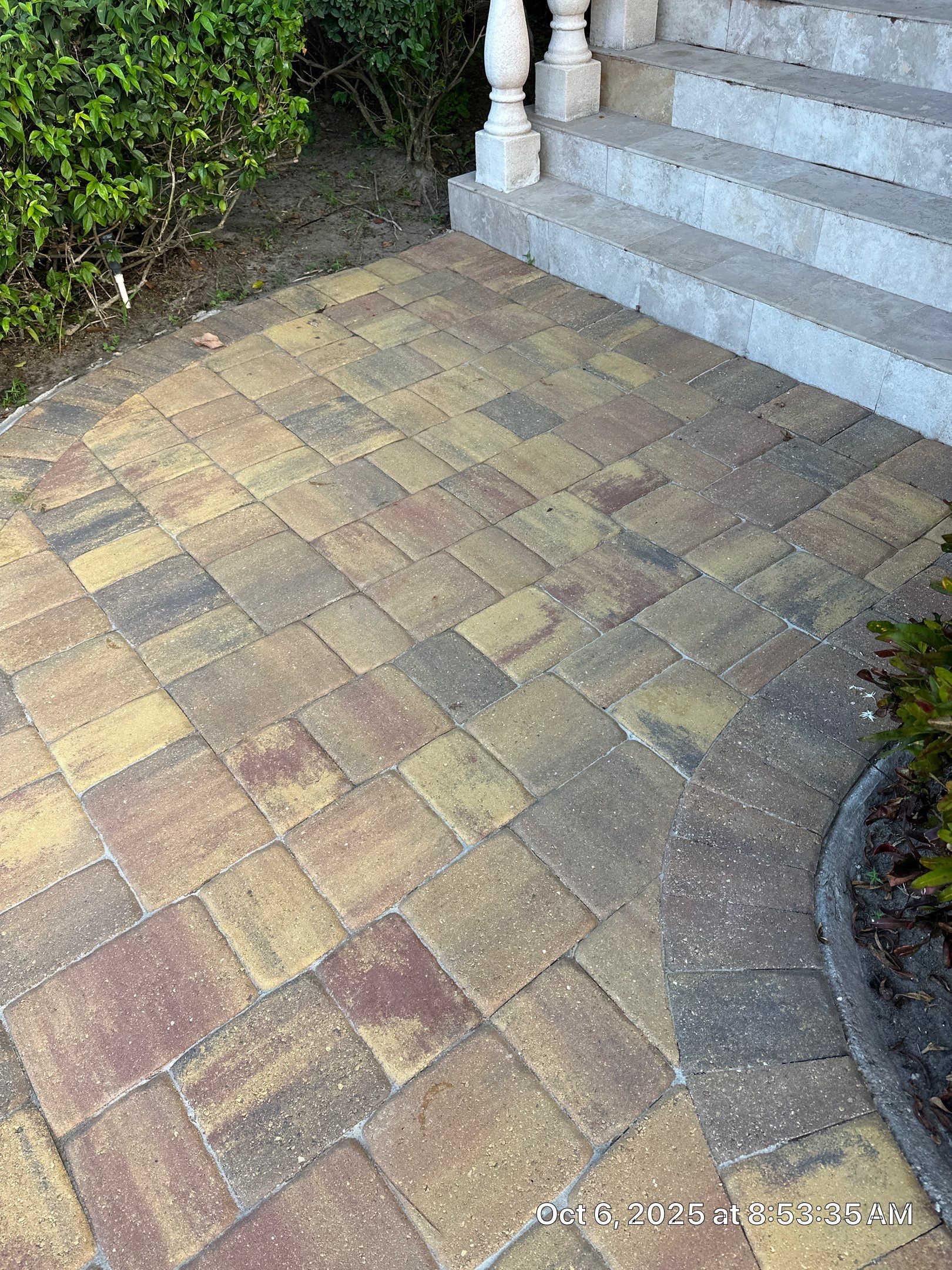 Driveway and Pool Deck Paver Restoration in Apollo Beach by Supreme Paver Experts