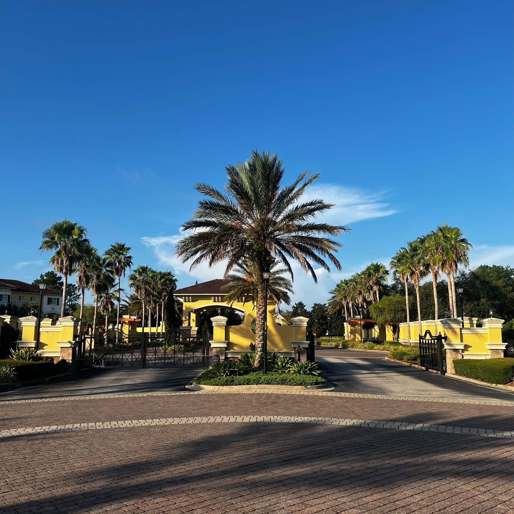 Palm Tree Trimming | IL Villagio Condominiums by ProGreen Services