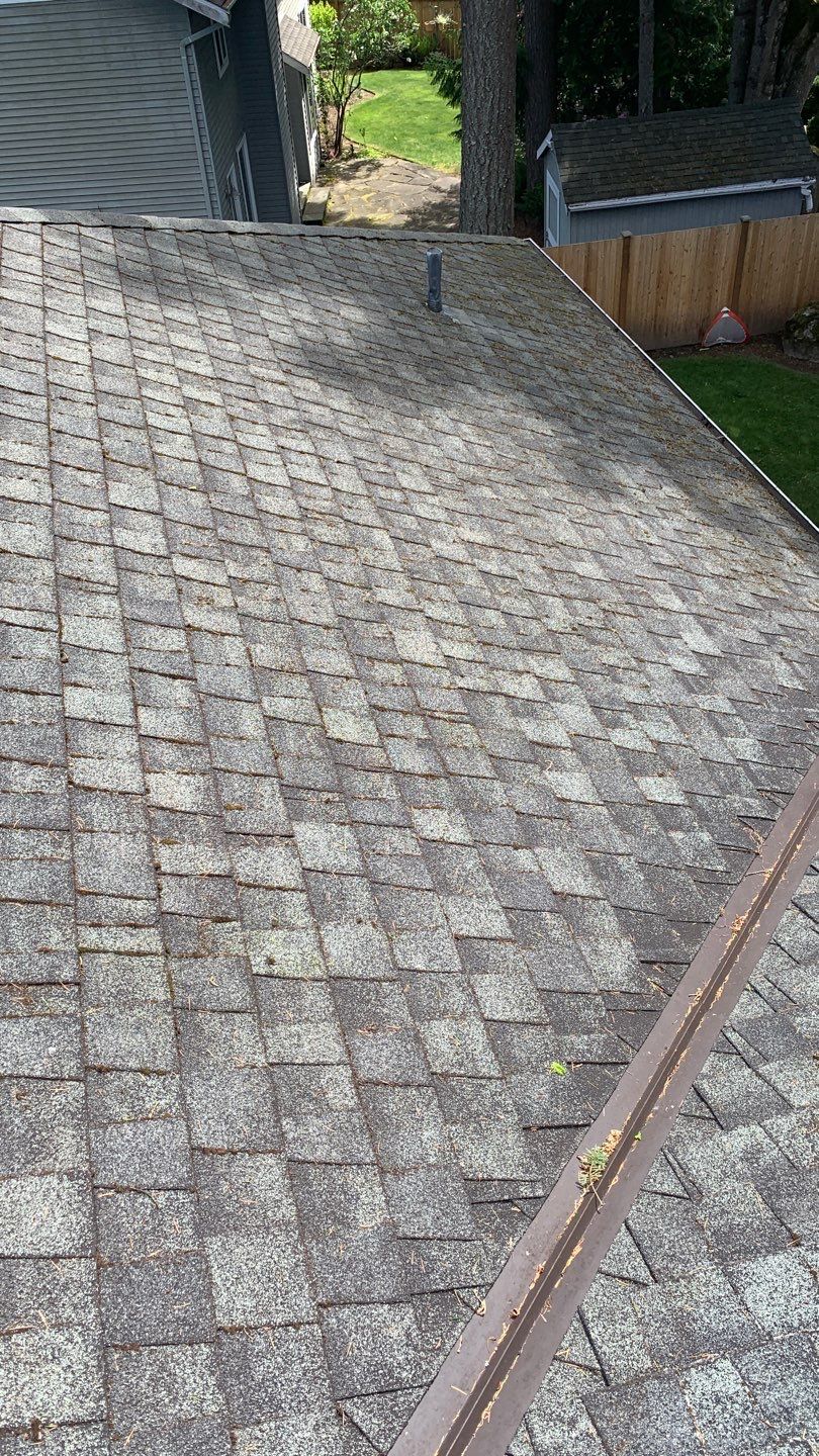Softwashed in many Years back, and organic regrowth significant by DawnSky LLC