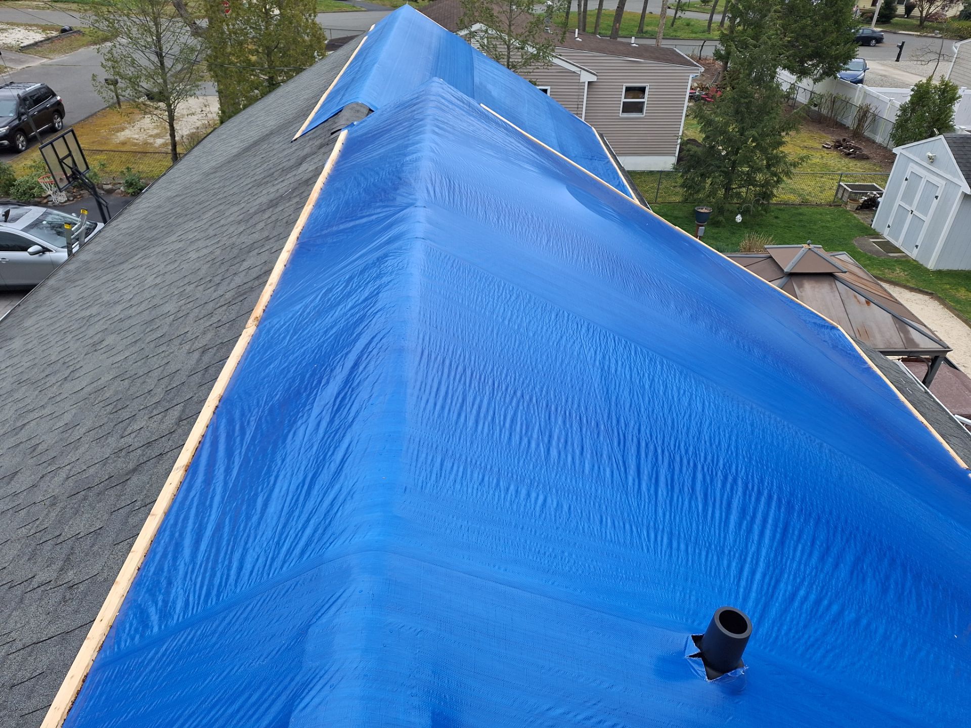 Silver Birch Shingles by Reimagine Roofing