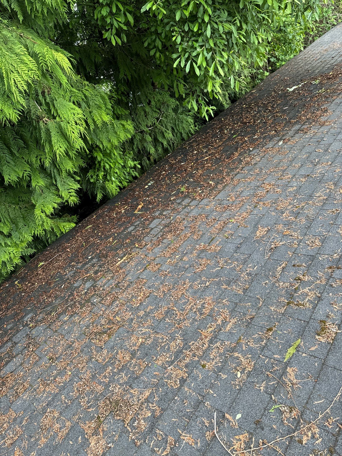Project in Everett by Peaks and Valleys Construction