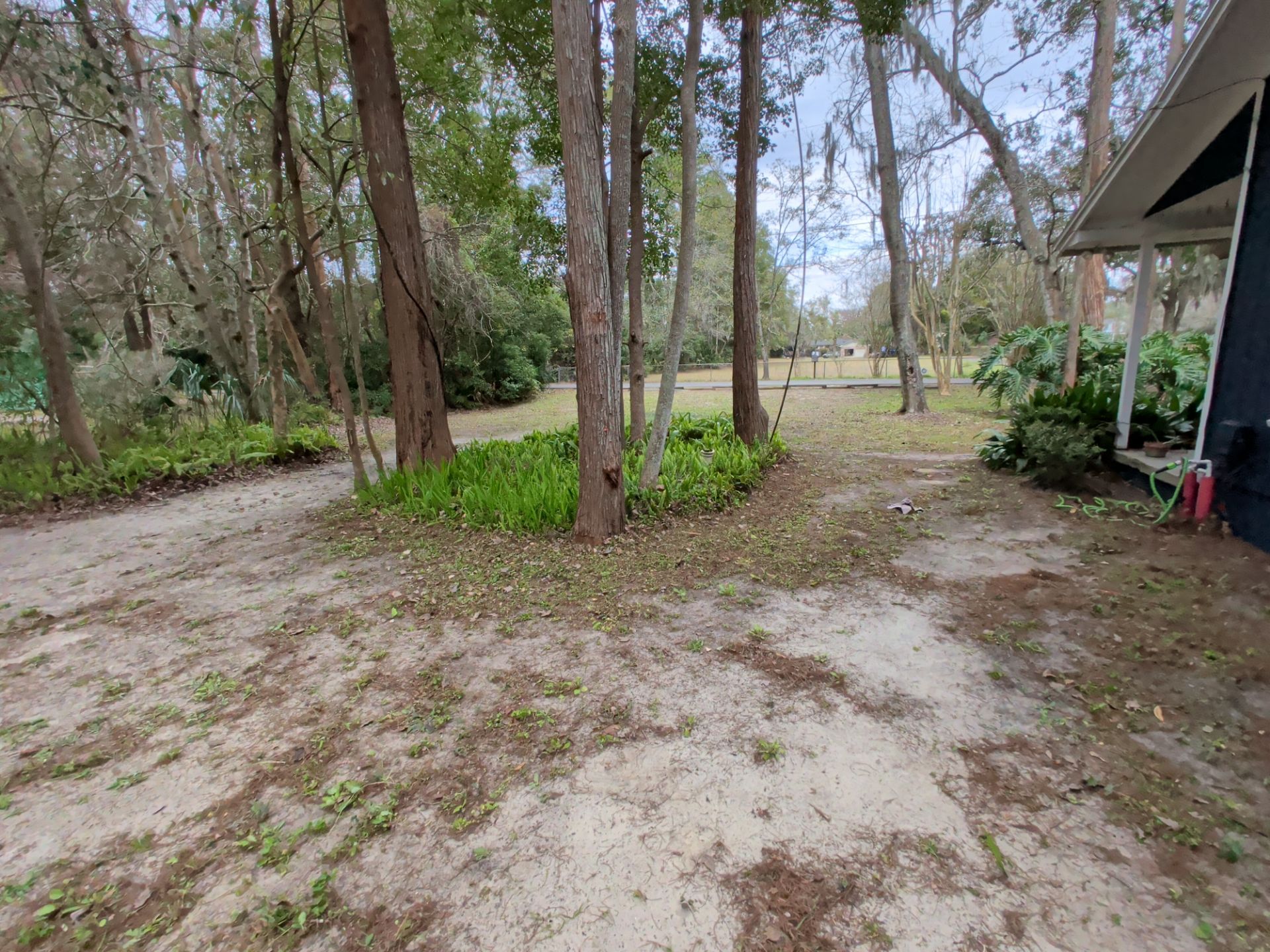 Large-Scale Leaf Removal & Property Cleanup — Jacksonville, FL (Southside Area) by Harmoni Home Services