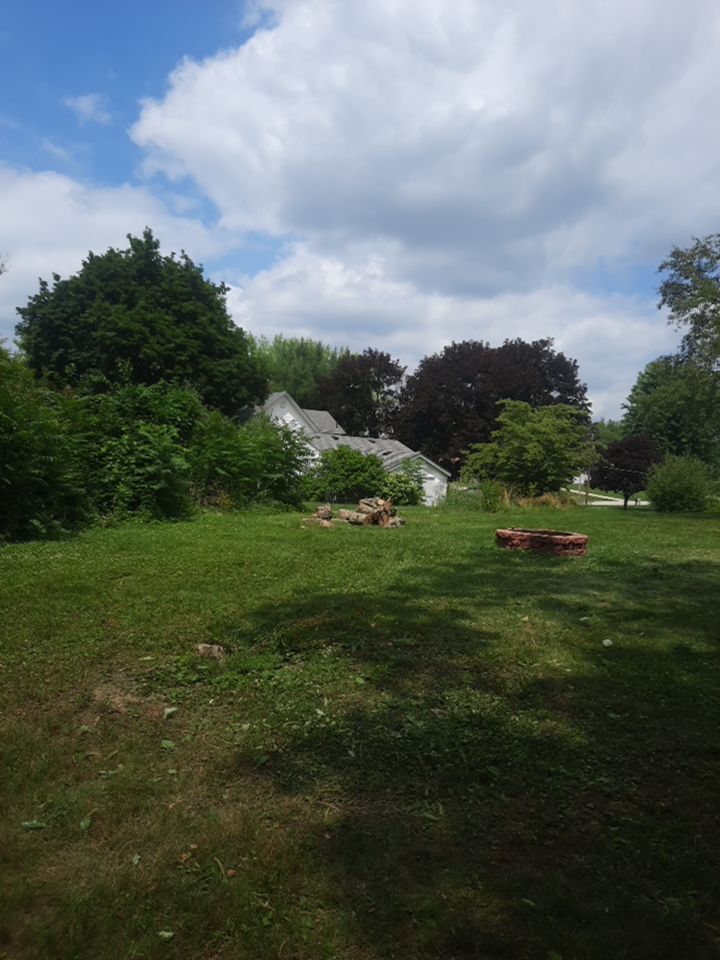 Tree Removal using Tree Removal by Mike Jones & Sons Tree Service LLC 