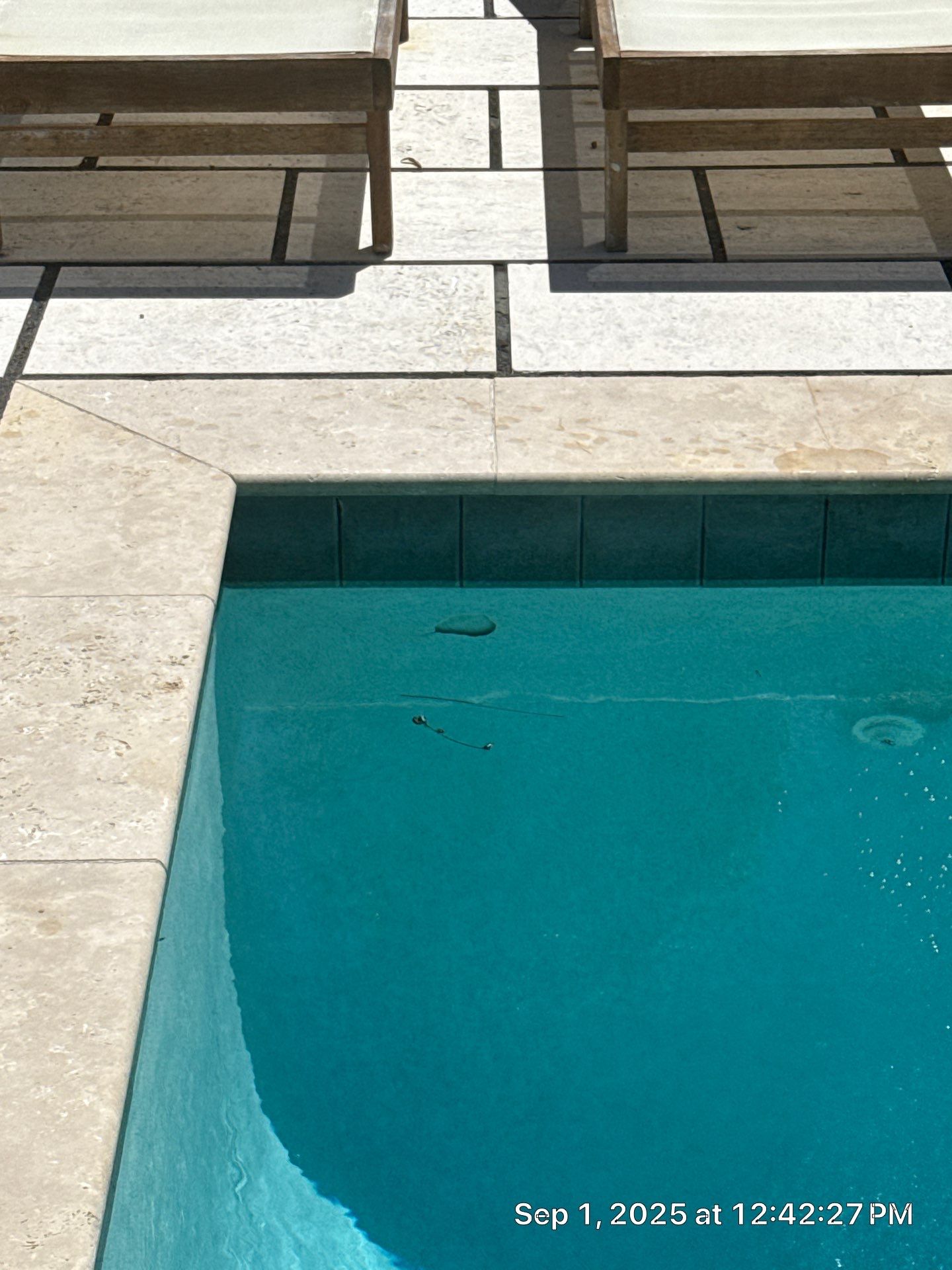 42 Trimingham Ct. - PCB by ASP - America's Swimming Pool Company