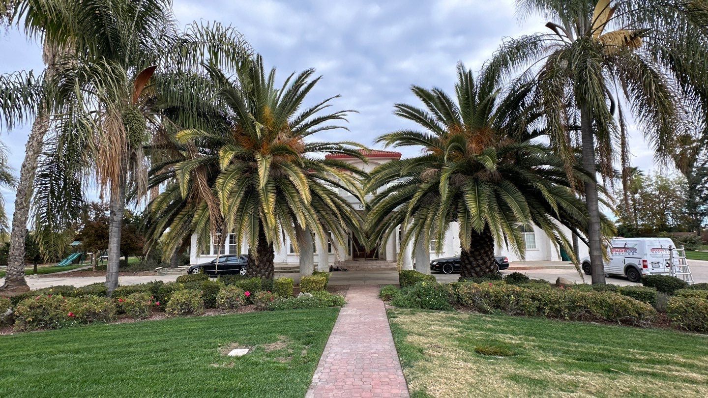 Tile refurbish project using existing tiles and replaced underlayment and battens by Straight Edge Roofing Inc
