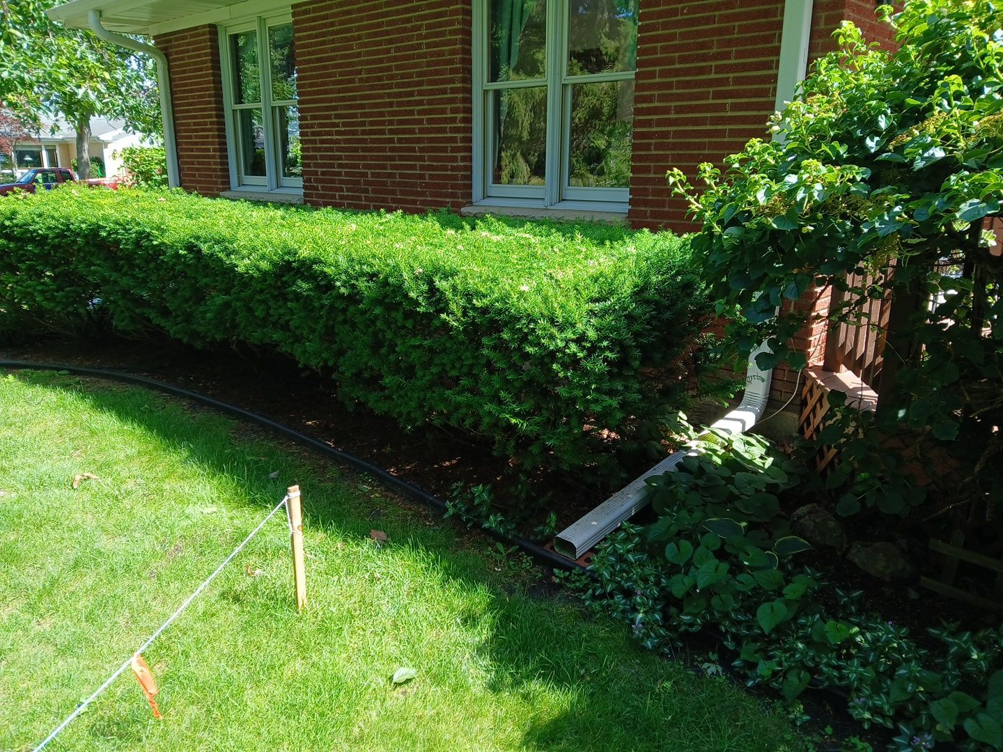 Al K. - Arlington Heights, IL by A&N