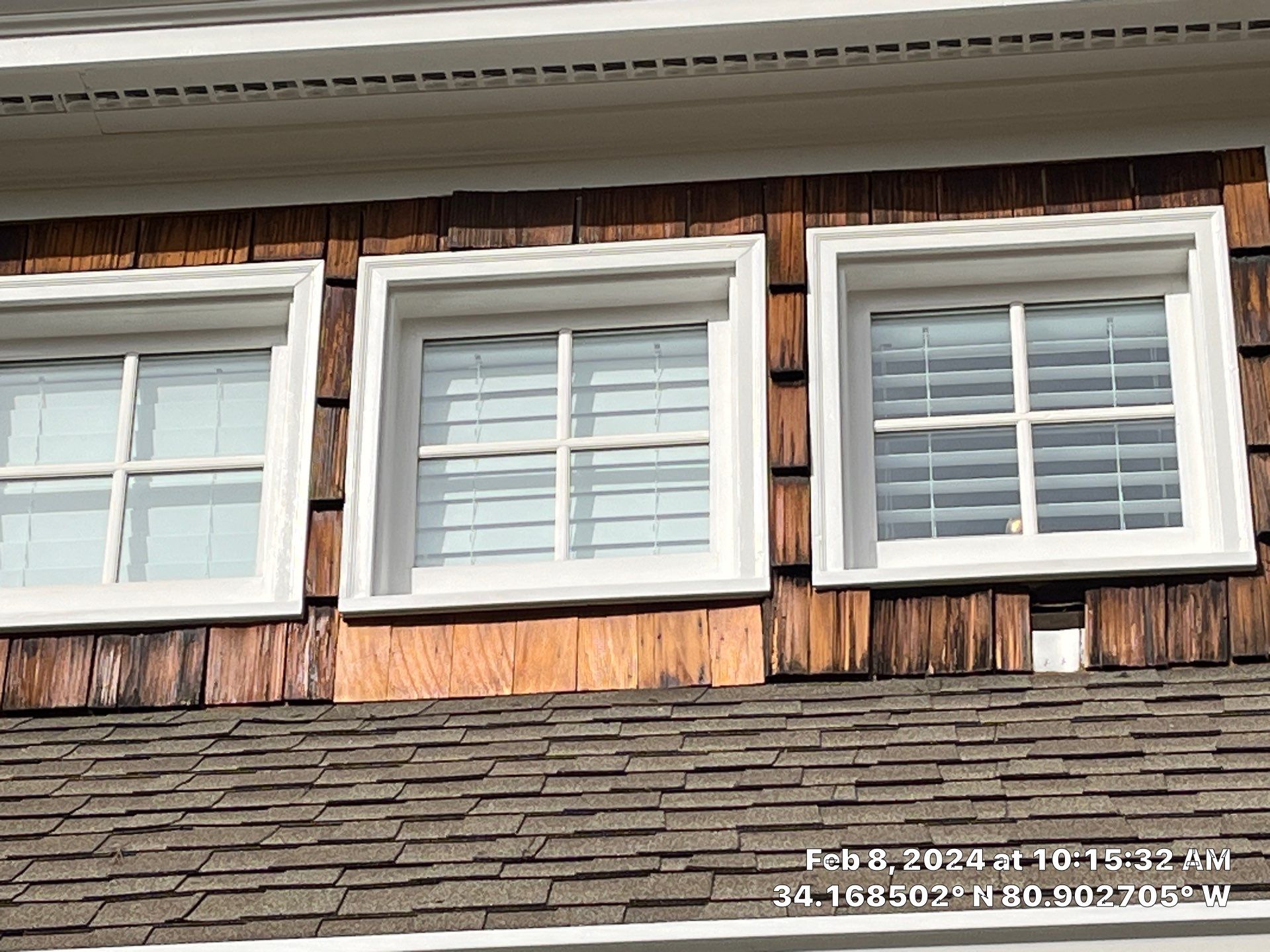 Geaux 2 Guy: Outsmarting Squirrels & Restoring Your Cedar Shingle Haven by Thompson Industrial