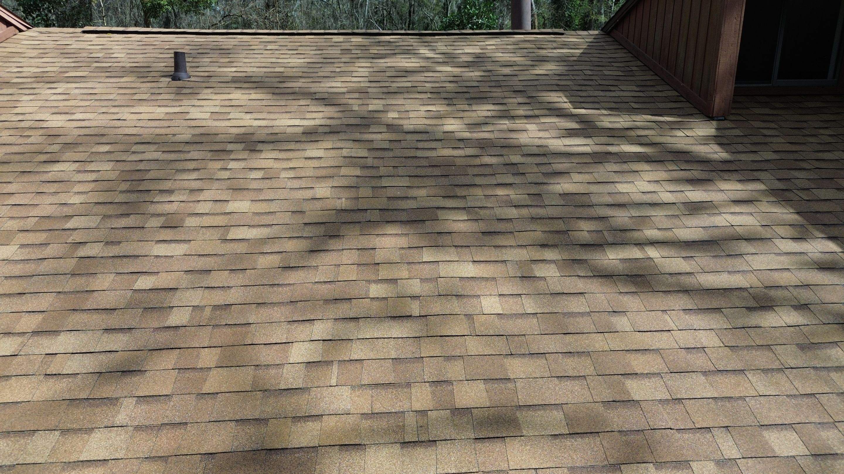New asphalt shingles in Gainesville, FL by Brehm Roofing