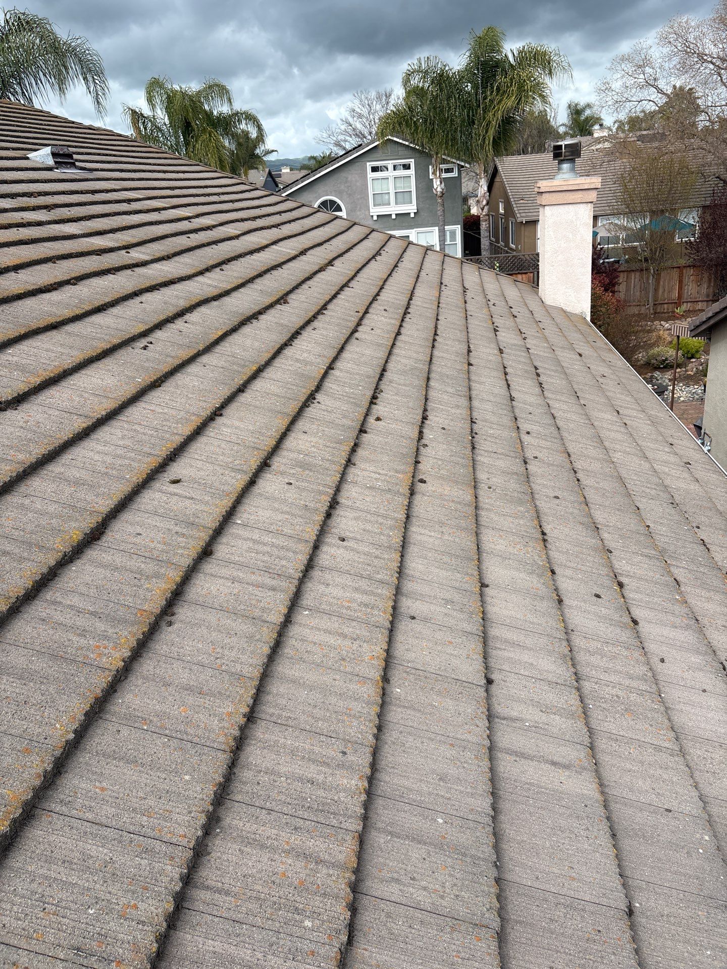 Moss Removal by Top Elevation