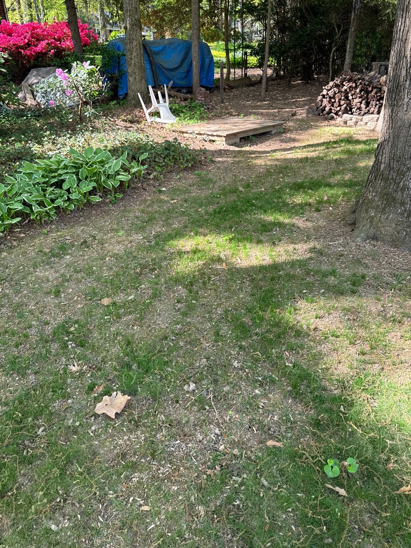 East York Pa by Go Green CLC