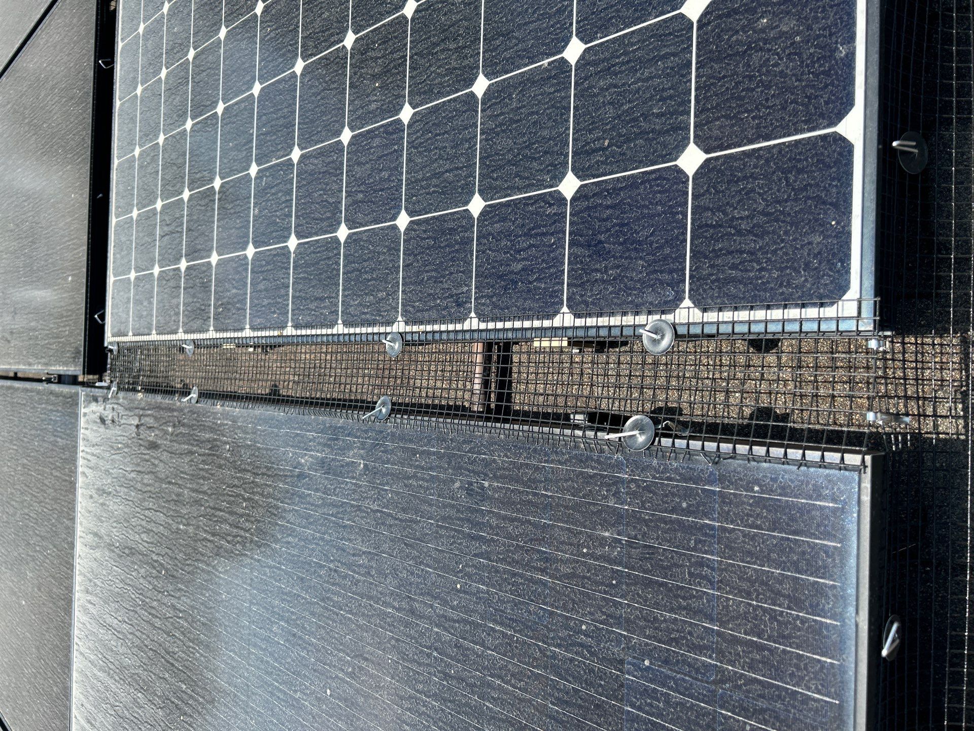 Solar Panel Critter Guard Installation by All One Solar Shine