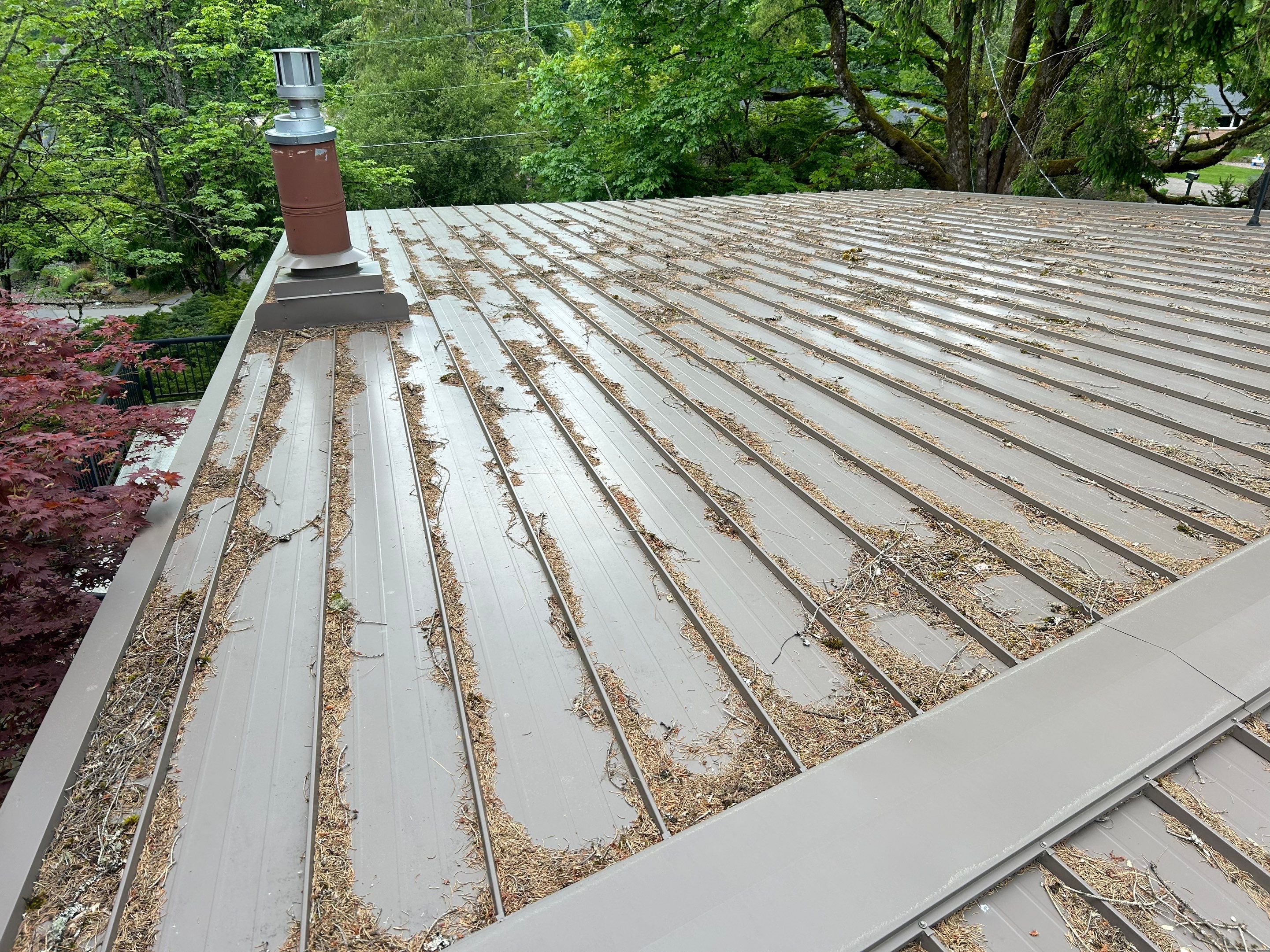 Roof Cleaning in Portland by Prodigy Roof Solutions