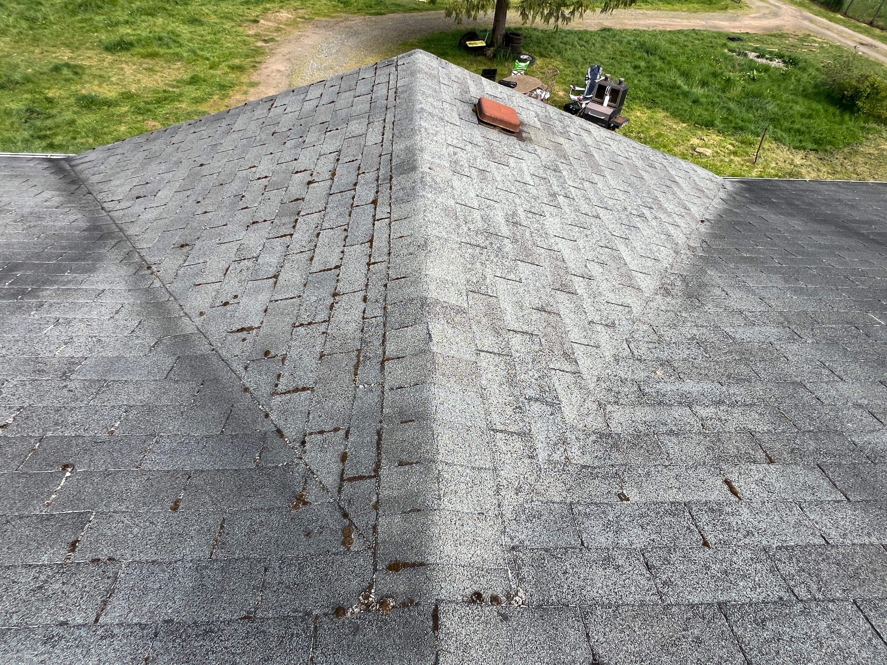 RichArt - Lee by Advanced Contracting Inc